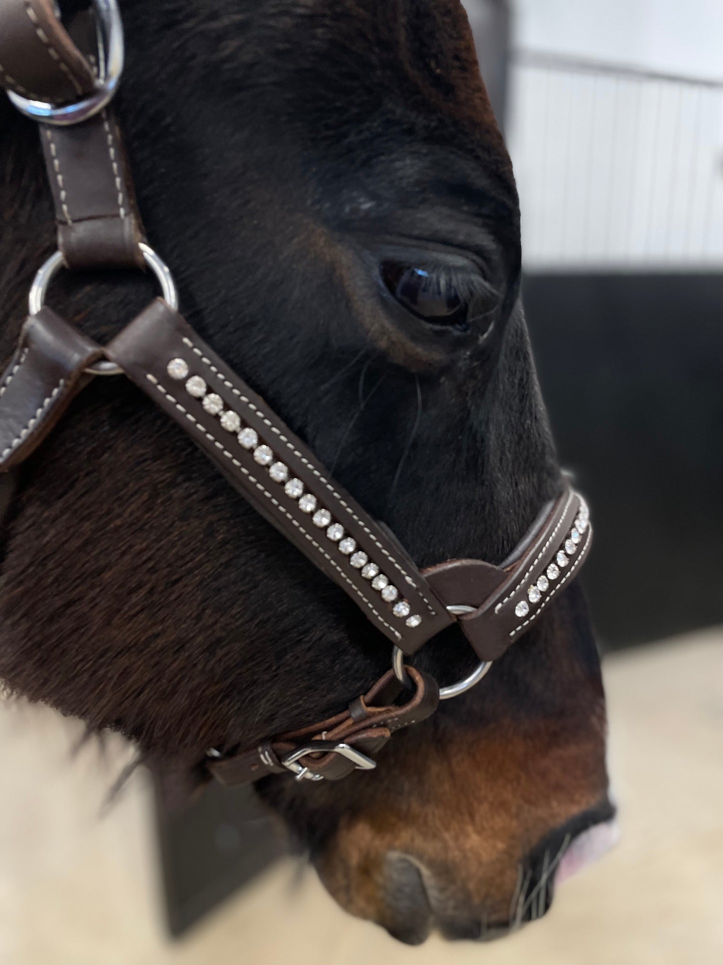 Wildwestrebell grimma med diamanter showgrimma mörkbrun