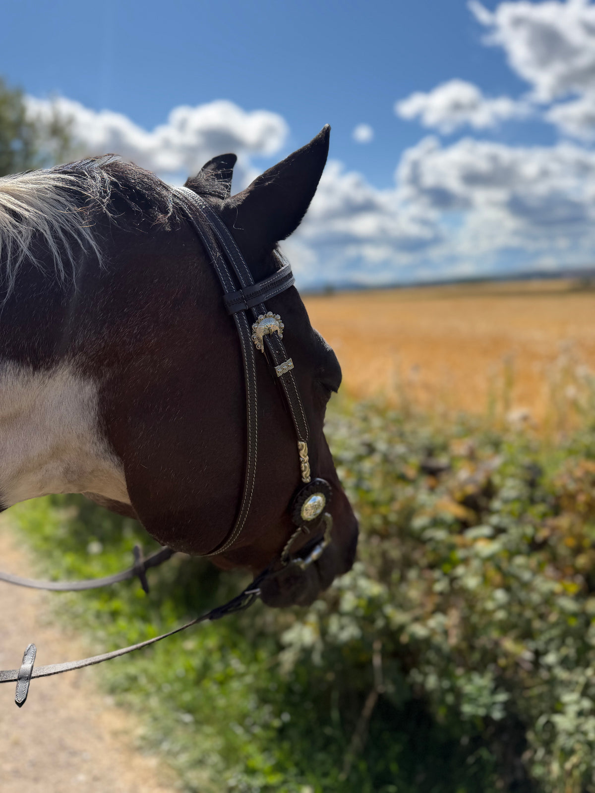 WWR träns western träns med silver detaljer