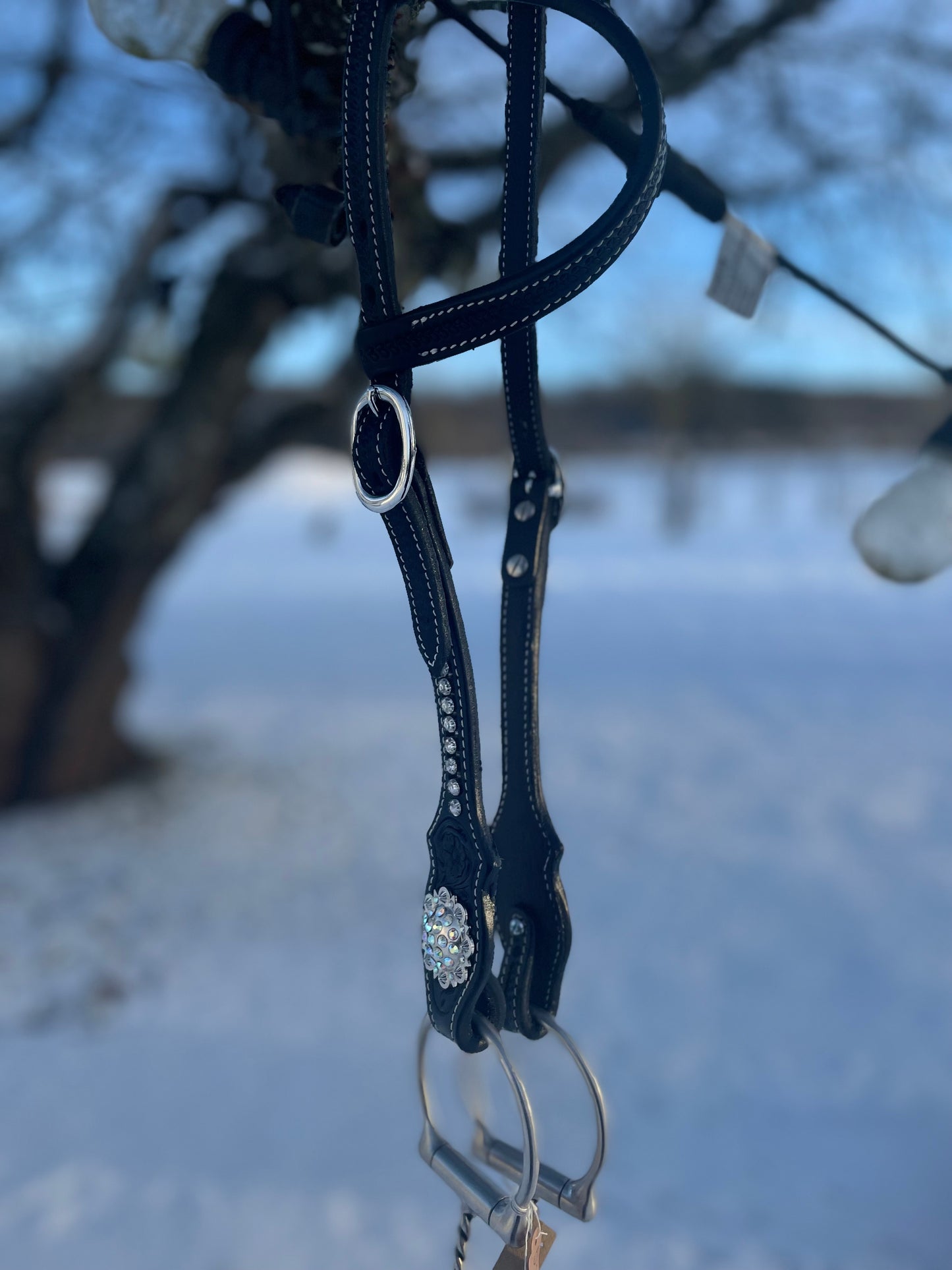 WWR träns blackshine gun