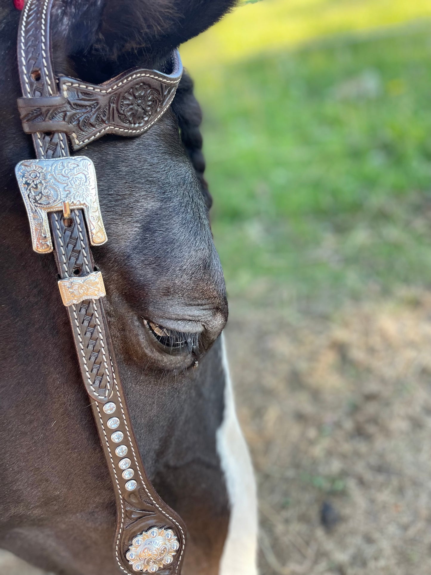 WWR träns brown leather bling one ear leather