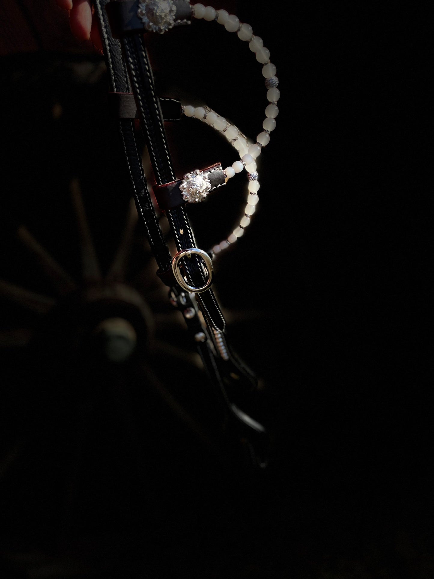 WWR träns black show pearls dreaming 2 ears
