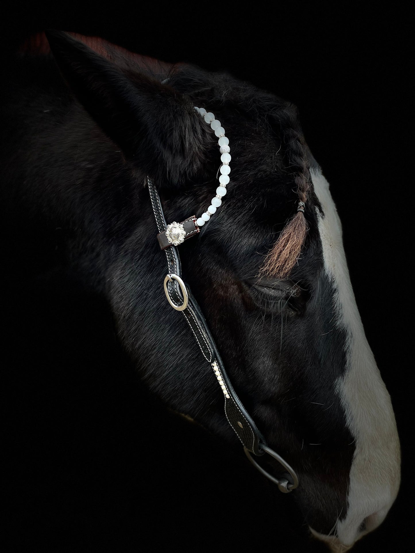 WWR träns black show pearls dreaming 2 ears