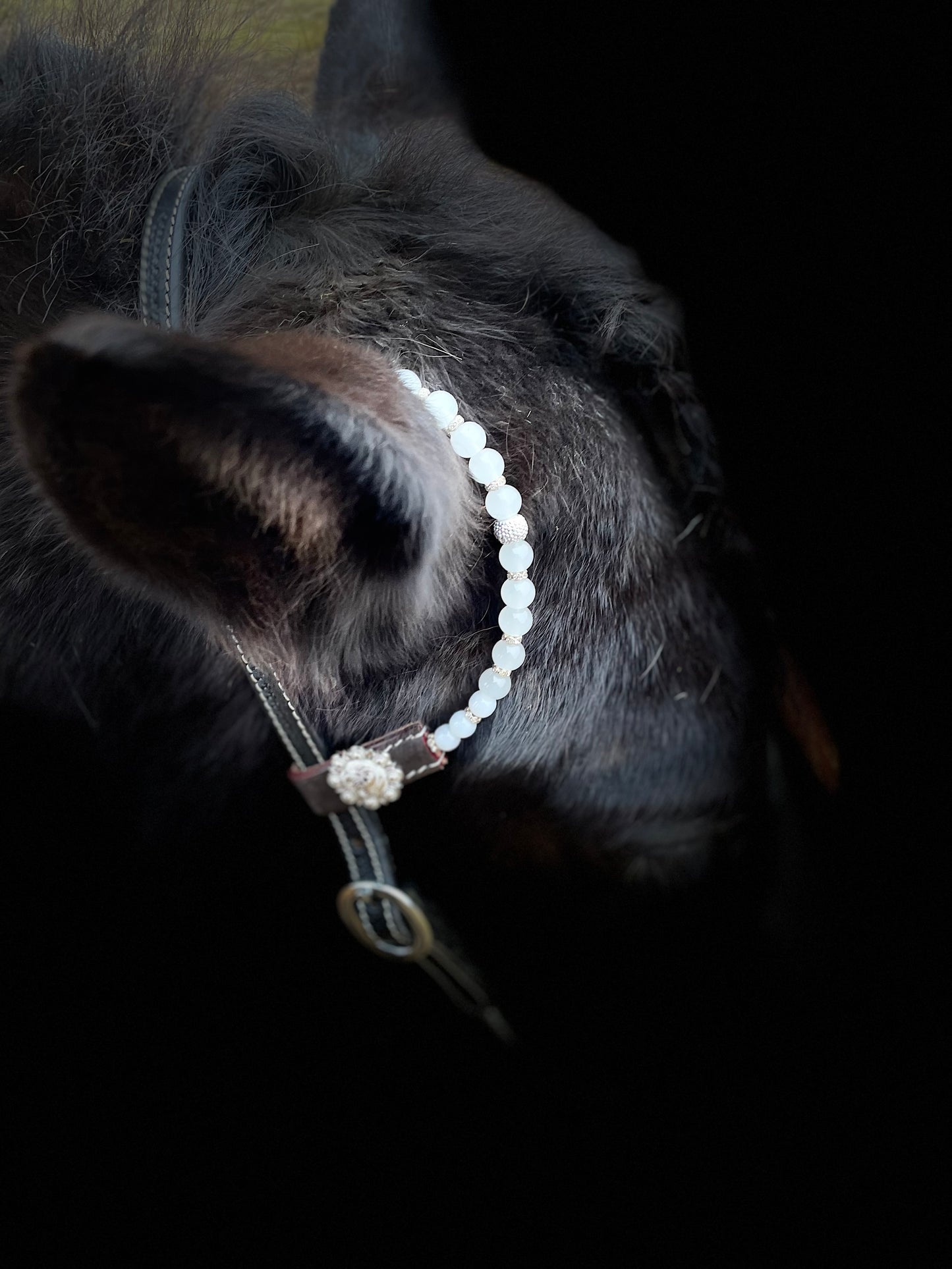 WWR träns black show pearls dreaming 2 ears