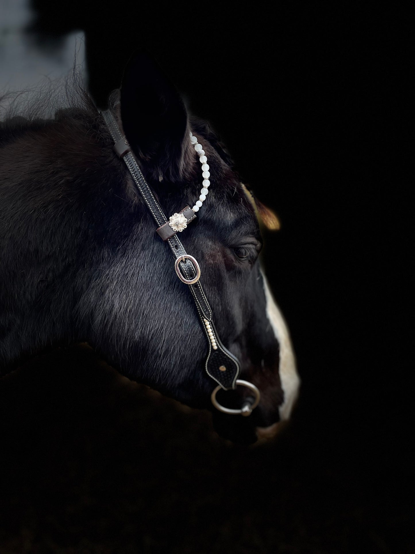 WWR träns black show pearls dreaming 2 ears