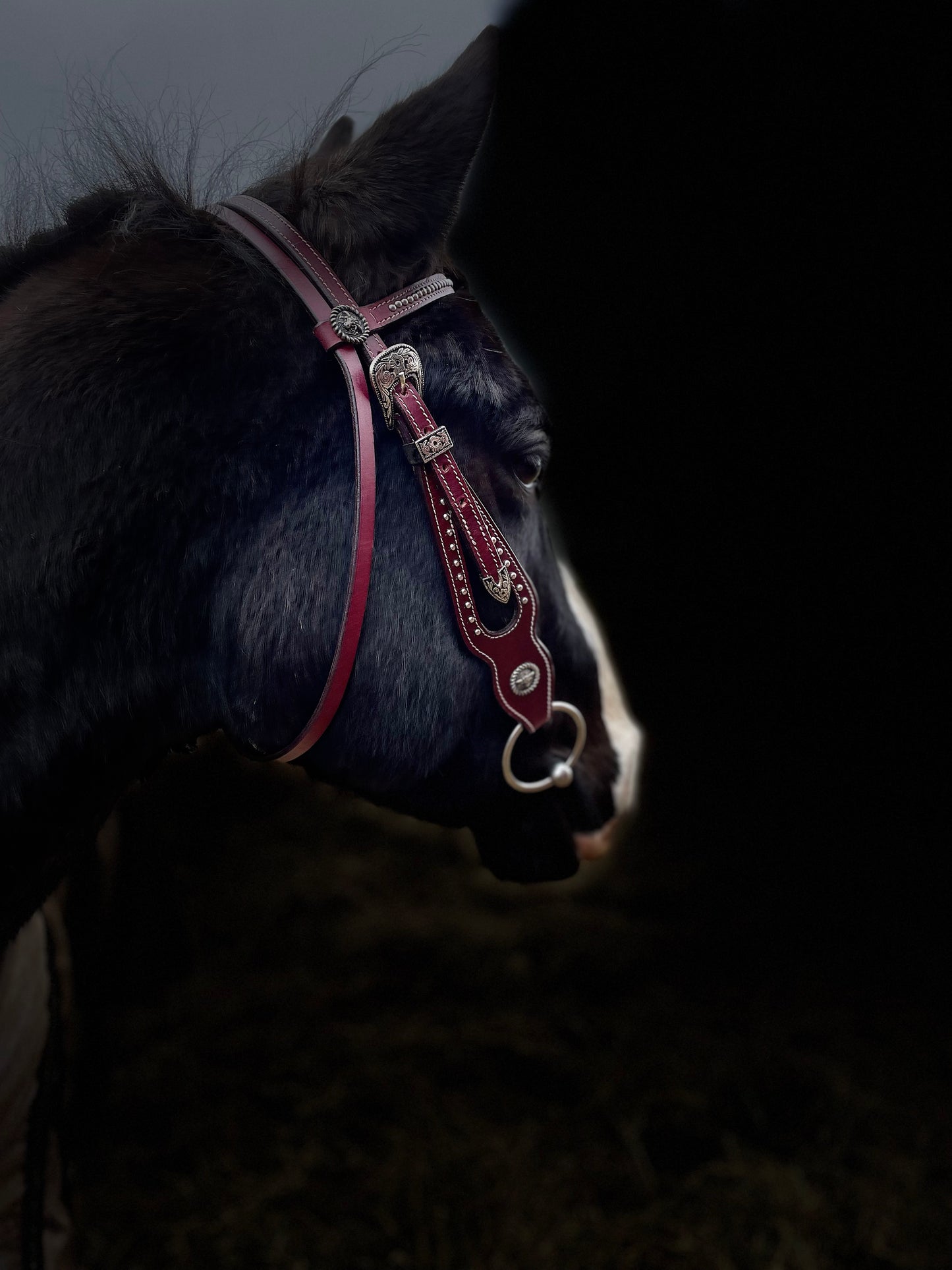 WWR träns working cow with reins