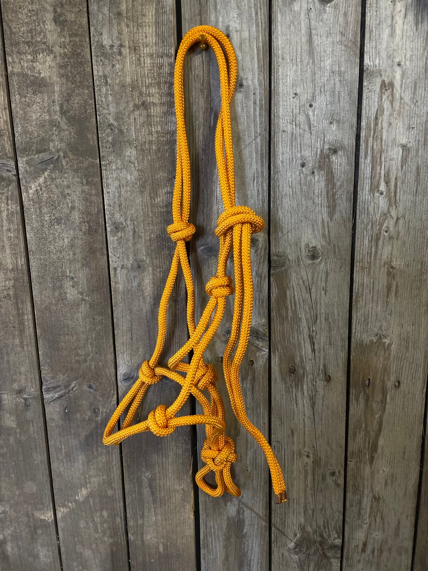 WWR Rope halter different colours