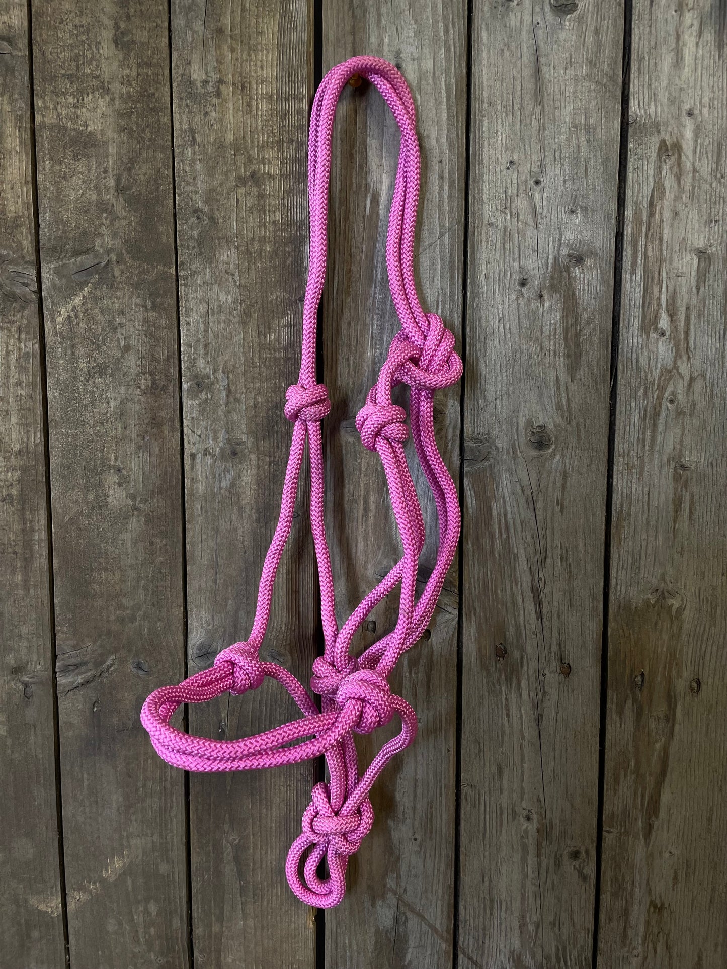 WWR Rope halter different colours