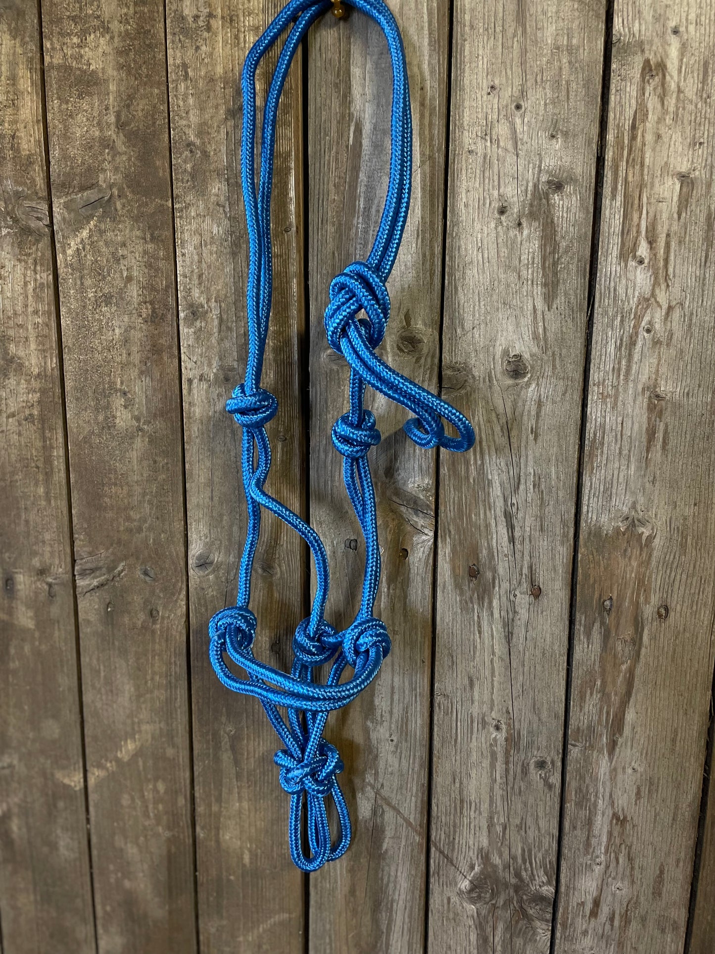 WWR Rope halter different colours