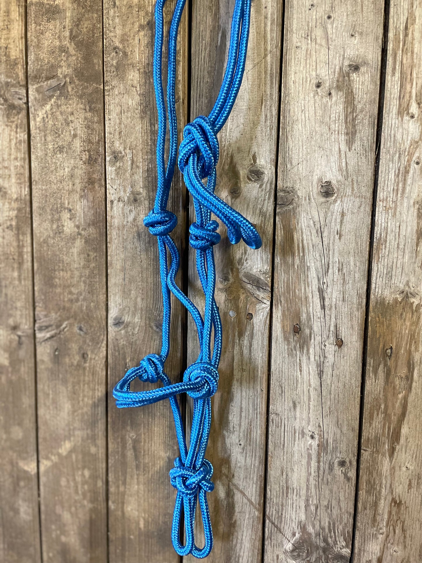 WWR Rope halter different colours