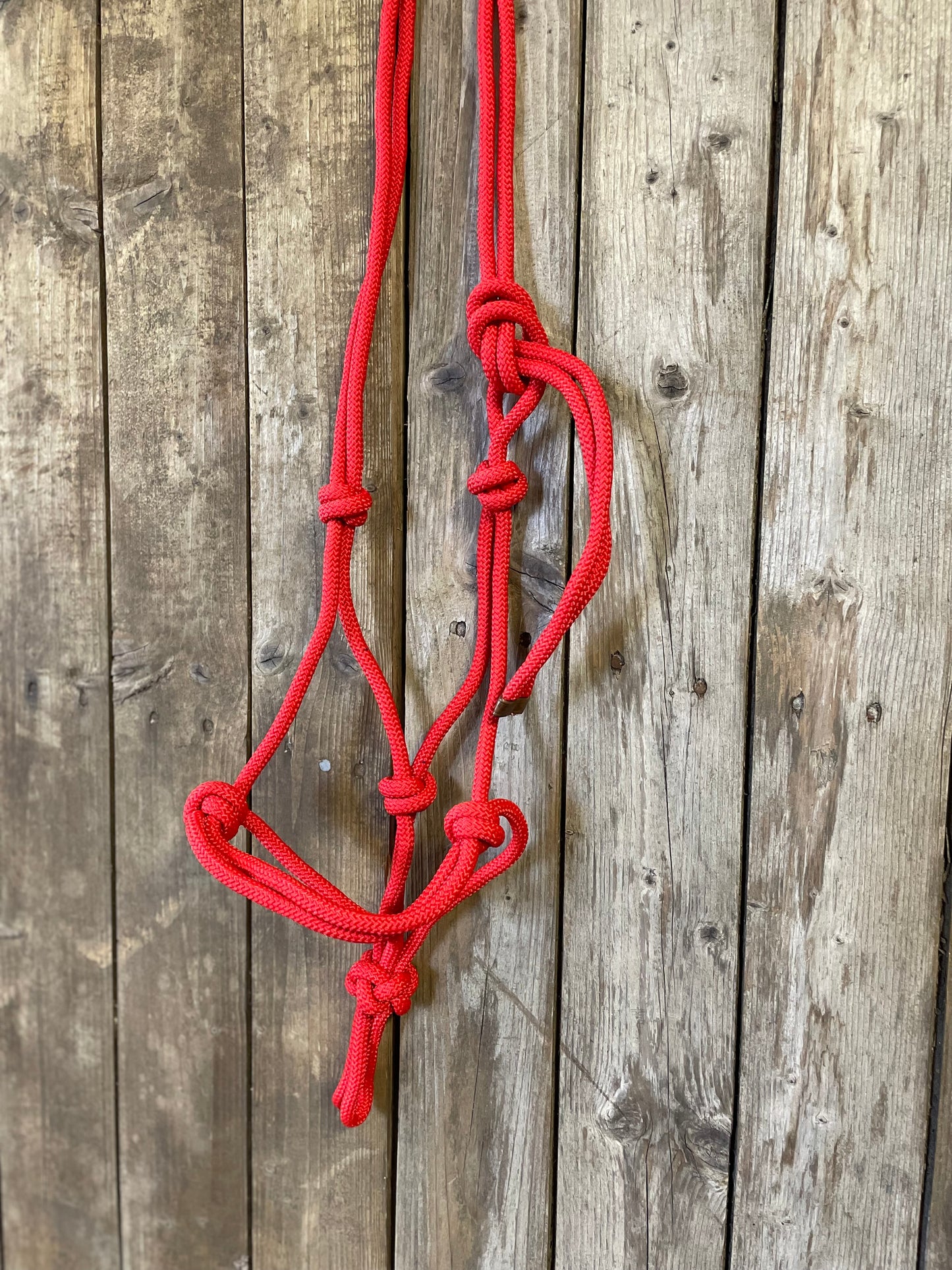 WWR Rope halter different colours