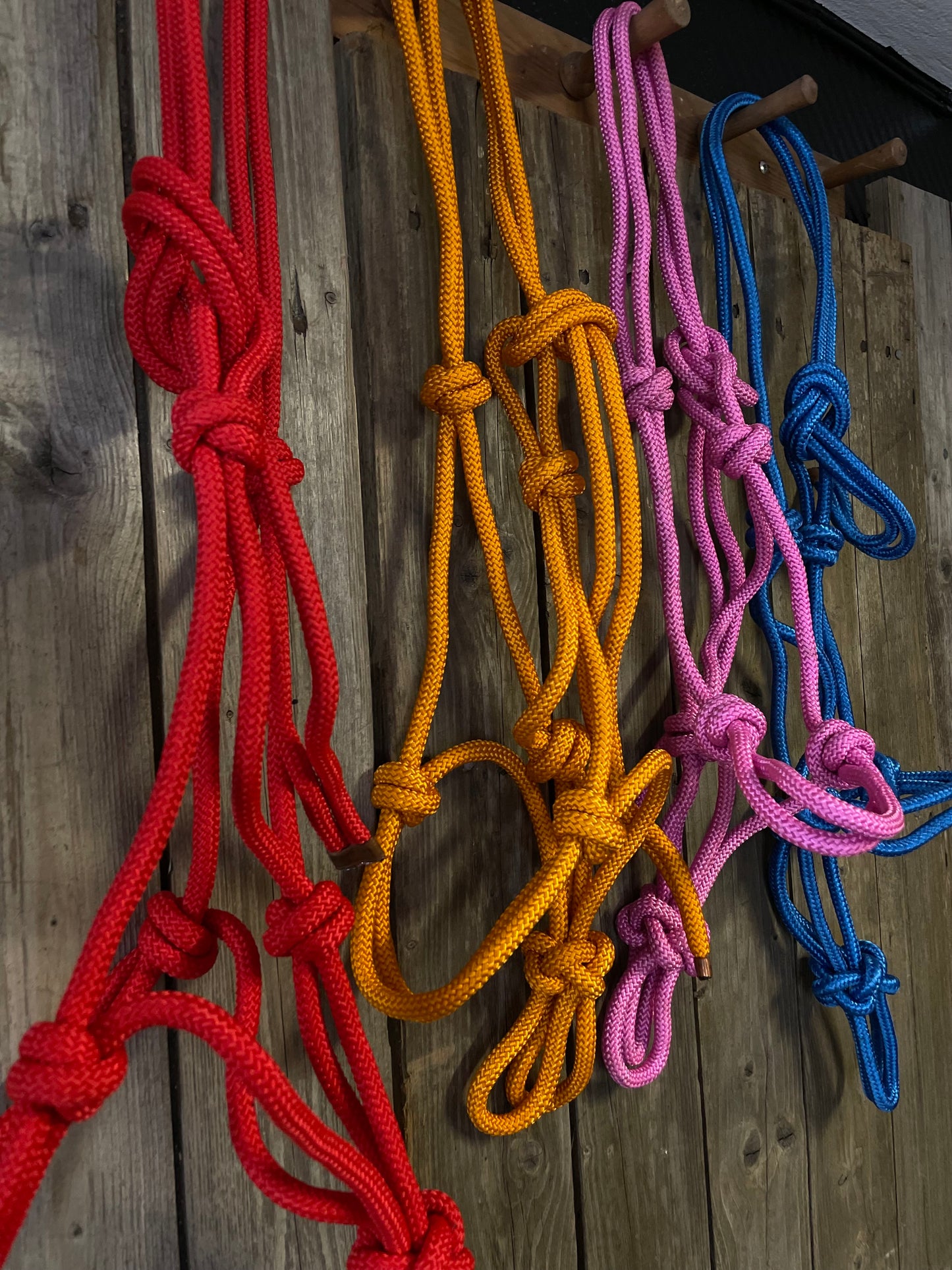 WWR Rope halter different colours