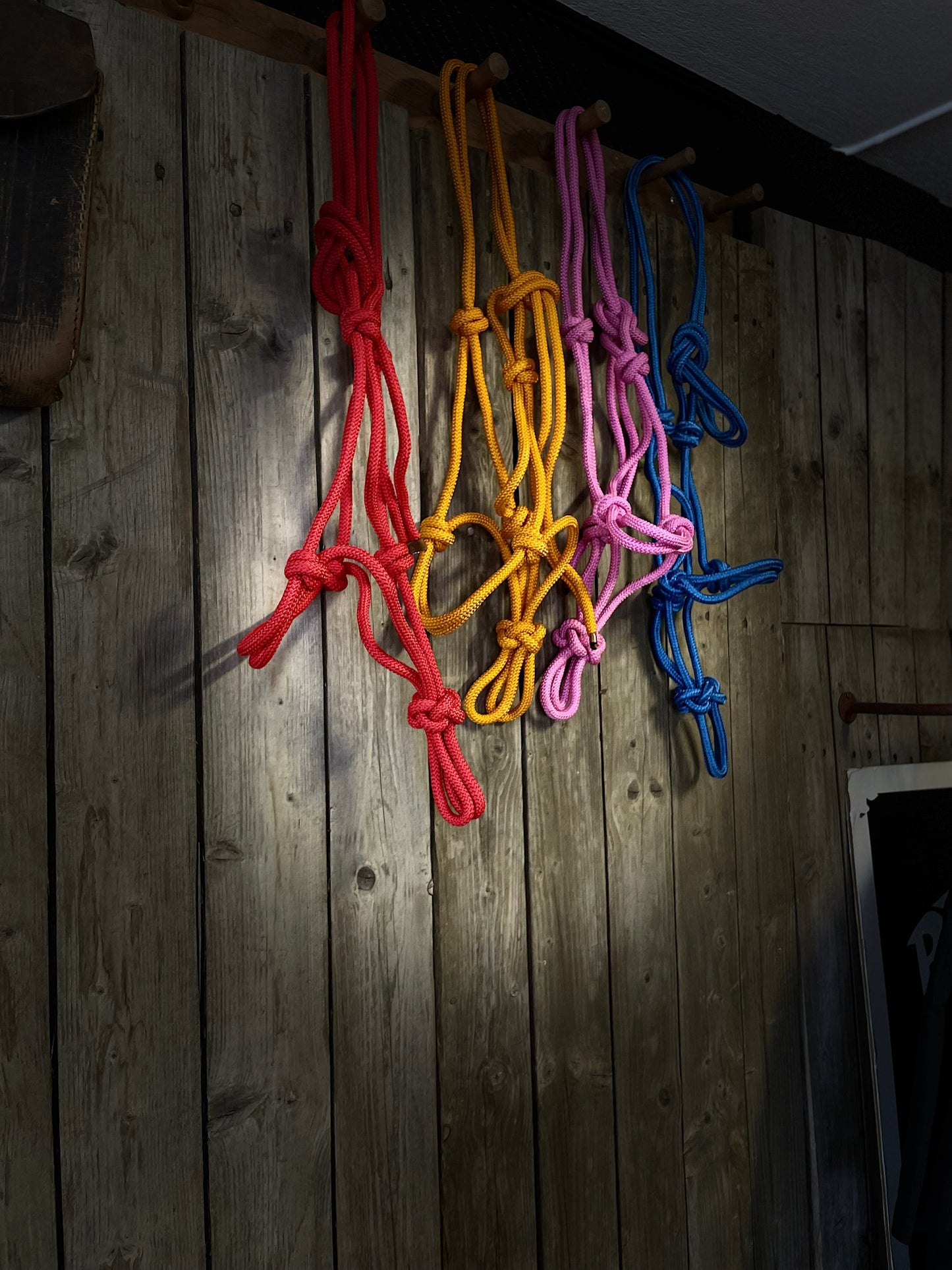 WWR Rope halter different colours