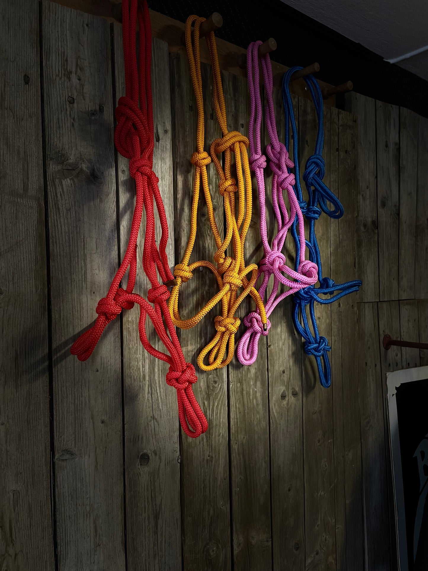 WWR Rope halter different colours