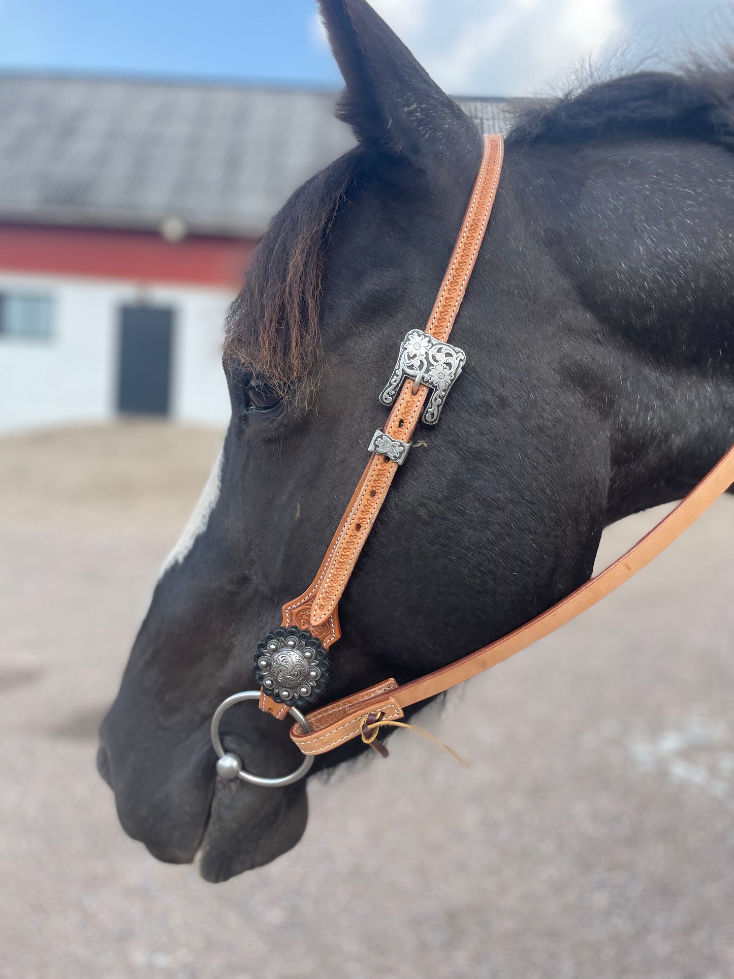wildwestrebell westernträns  brand new start