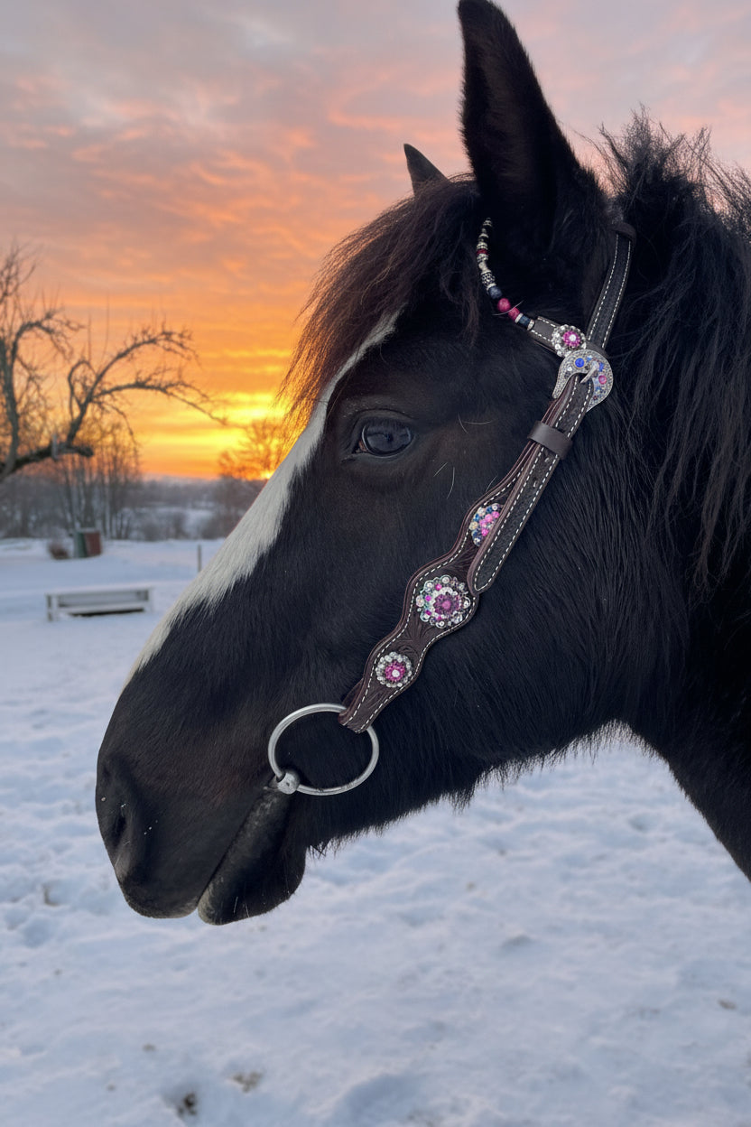 Wildwestrebell Westernträns med två one ears pearl  rosa lila toner
