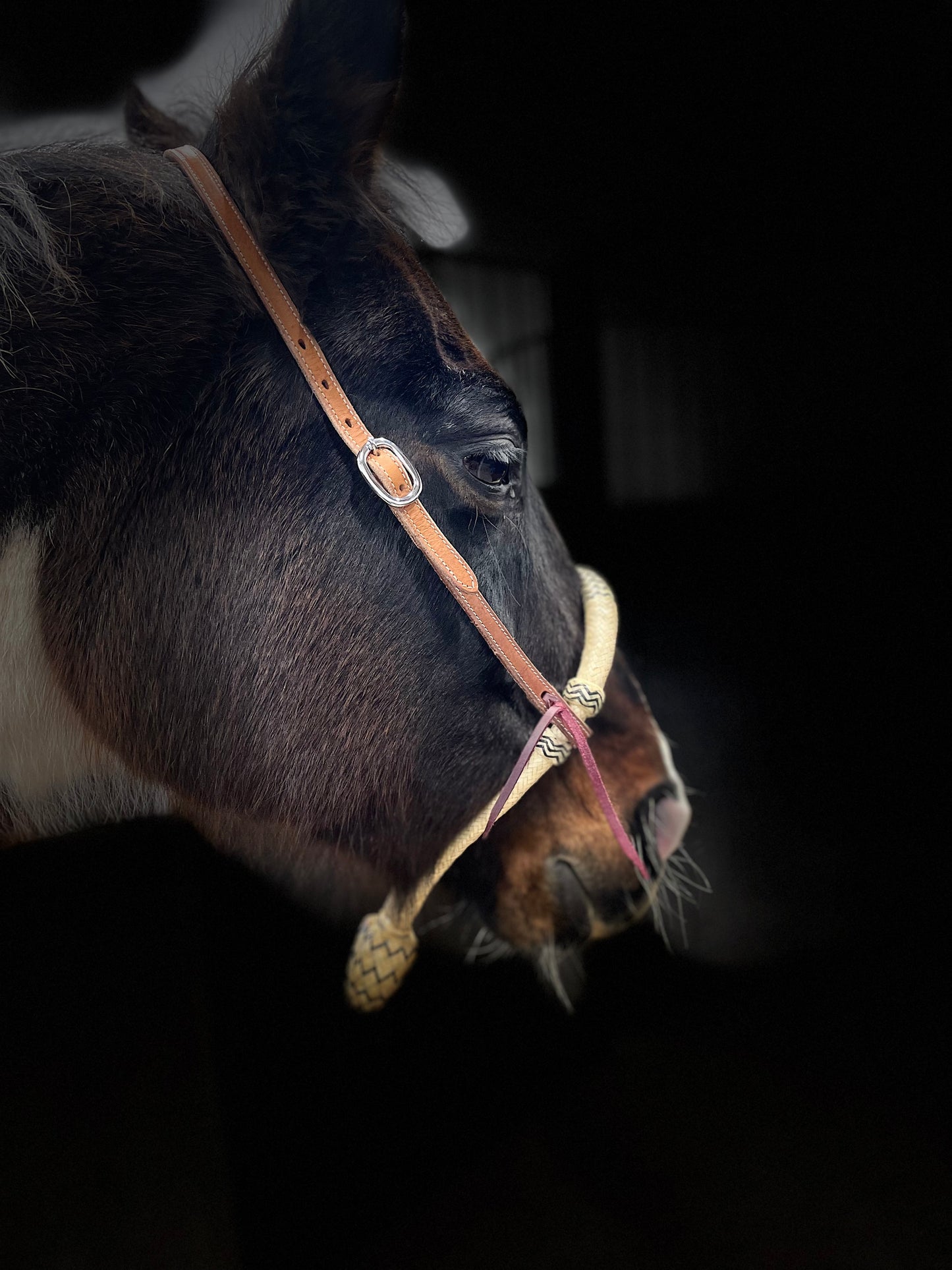 Bosal med mecate