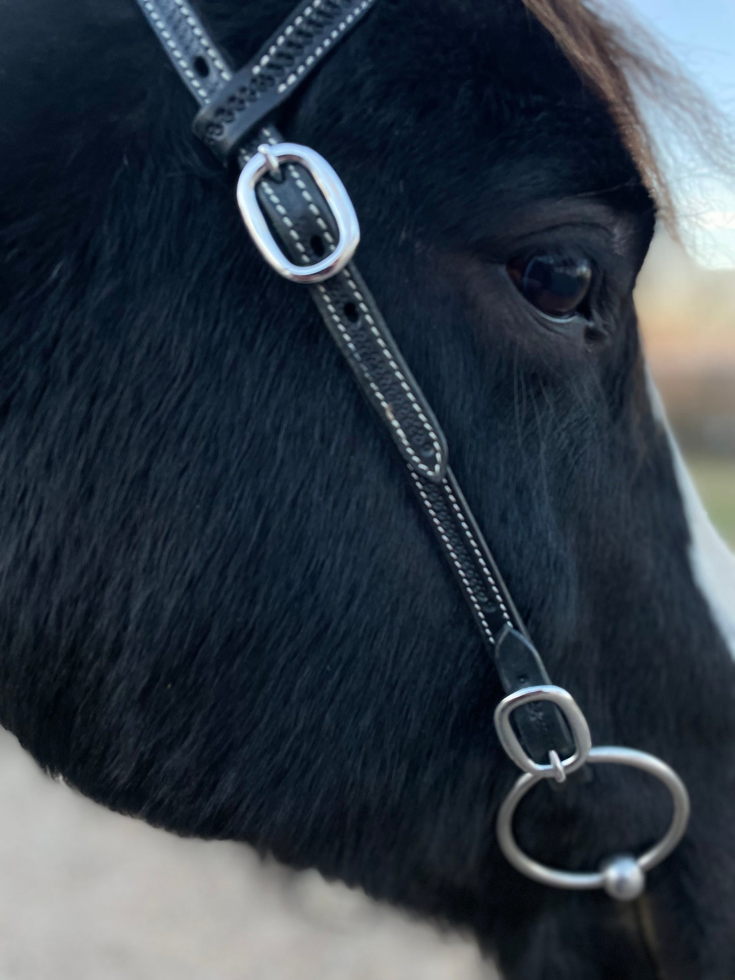 wildwestrebell westernträns med snabb fästen till bett träns training black piece