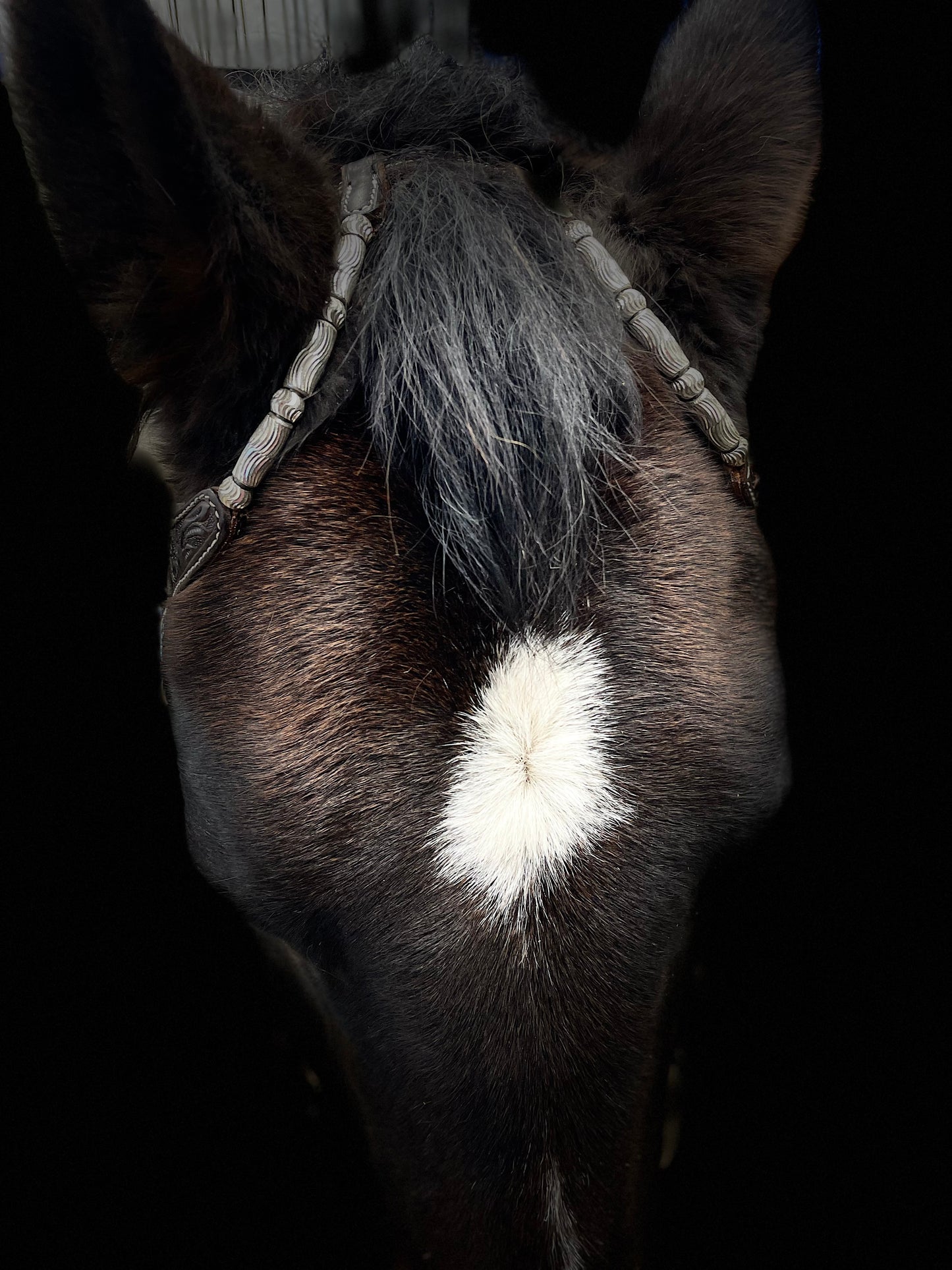 Wildwestrebell Westernträns med två one ears silver mörkbrun