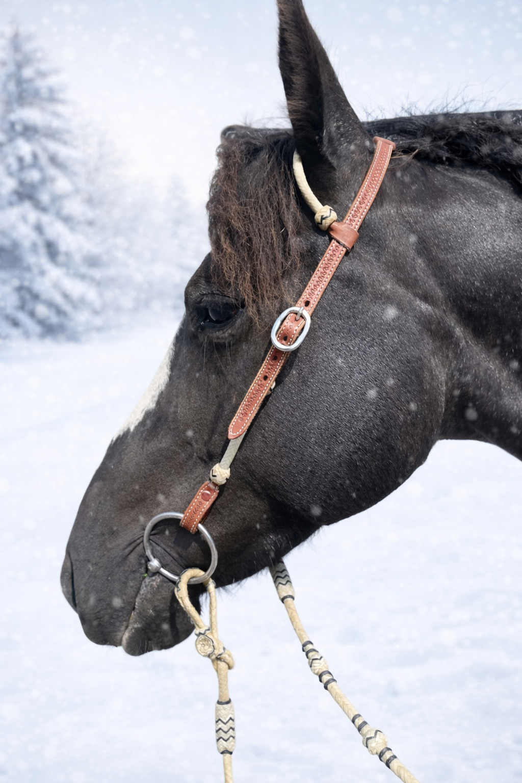 wildwestrebell westernträns  enöras träns Brown leather råhud
