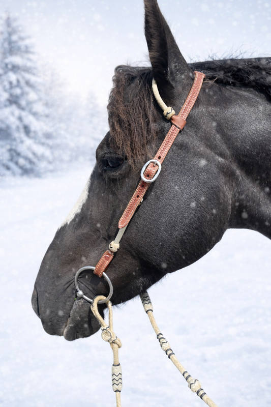 wildwestrebell westernträns  enöras träns Brown leather råhud