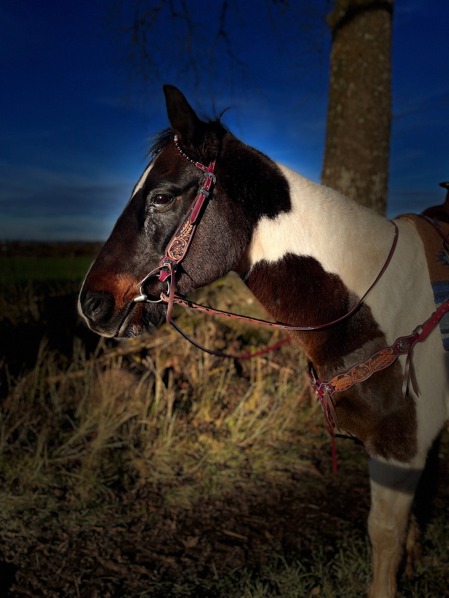 WWR Western set with two-eared snaffle and breast collar in vintage look with leather straps