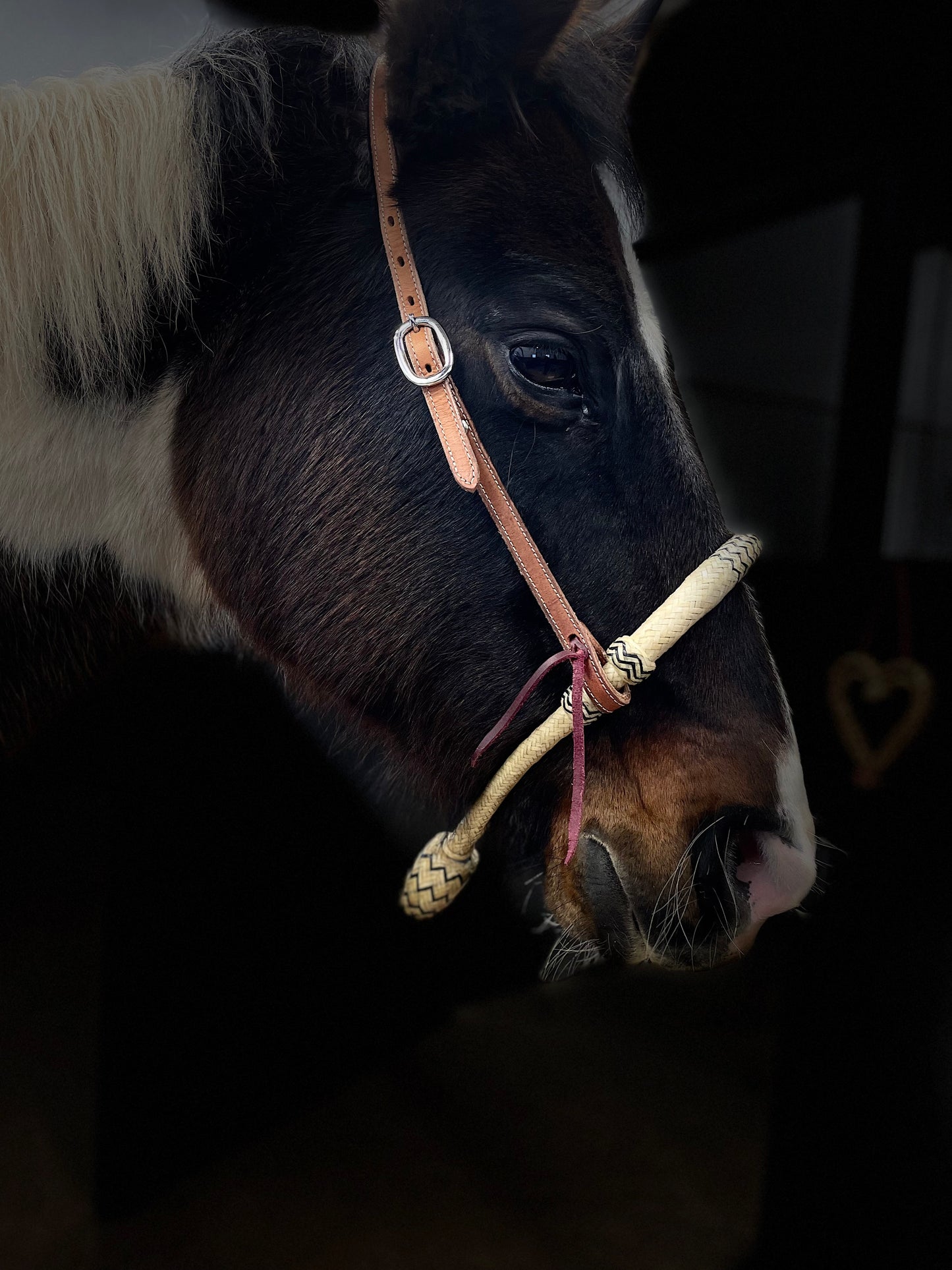Bosal med mecate