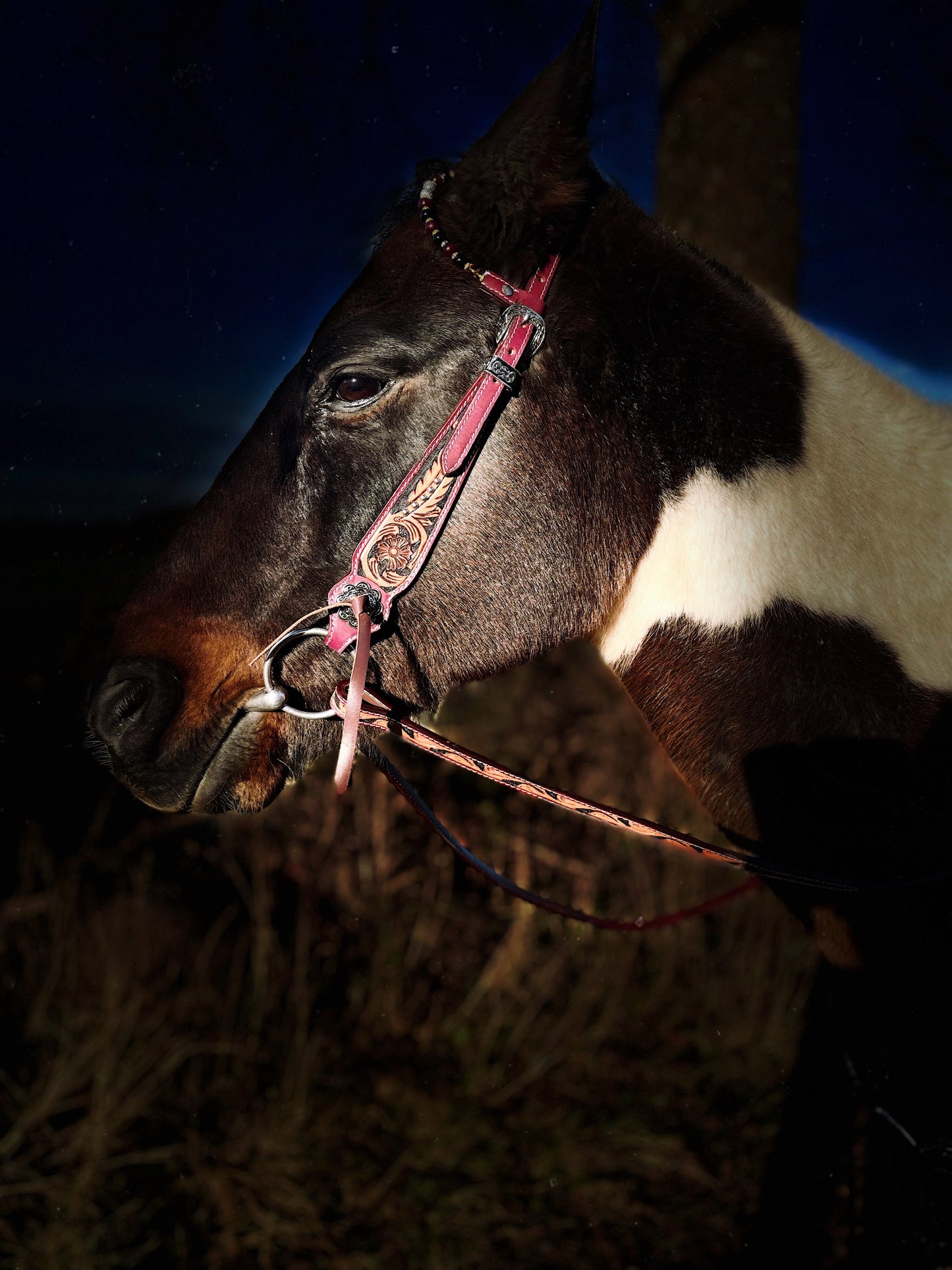 WWR Western set with two-eared snaffle and breast collar in vintage look with leather straps
