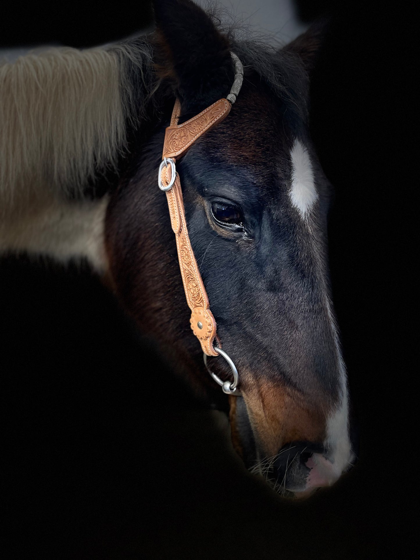 Wildwestrebell Westernträns med två one ears silver ljus brun