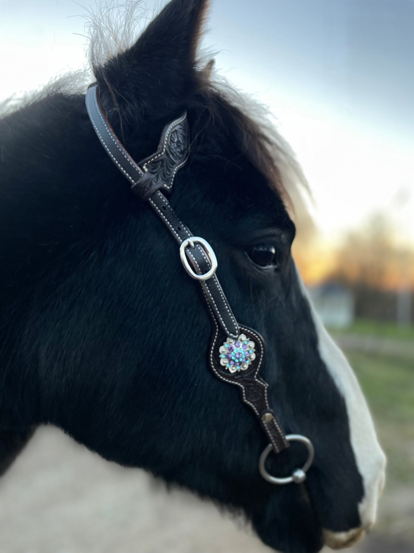 Wildwestrebell Westernträns med Enkelt Öra & Cheek lila /turkos