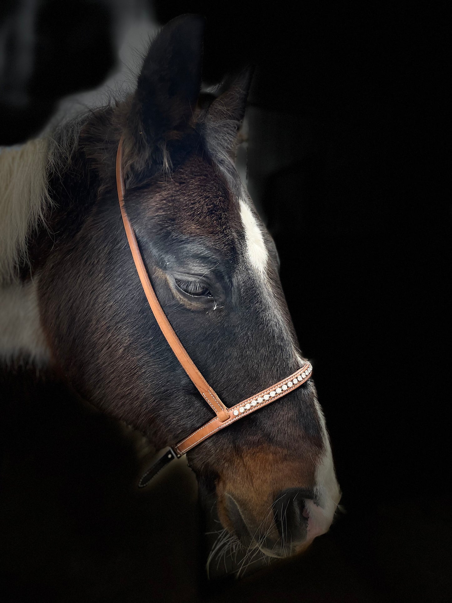 wildwestrebell Moutshutter Nosgrimma med vita strasstenar chestnut ljus
