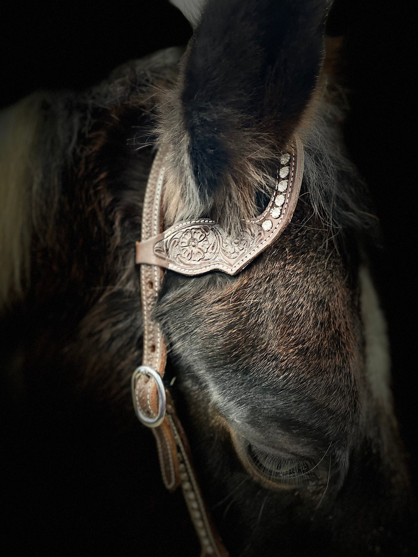 Wildwestrebell Westernträns med två one ears bling mörkbrun