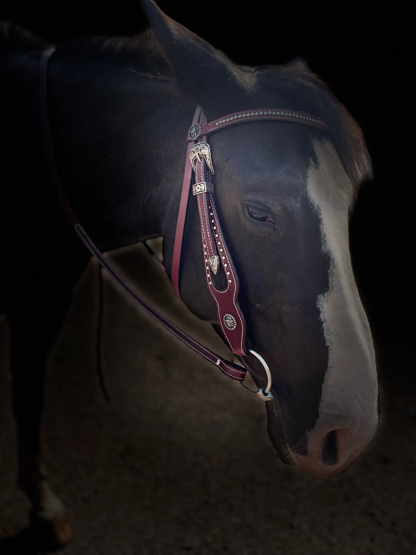 wildwestrebell westernträns vinrött inklusive tyglar   working cow with reins