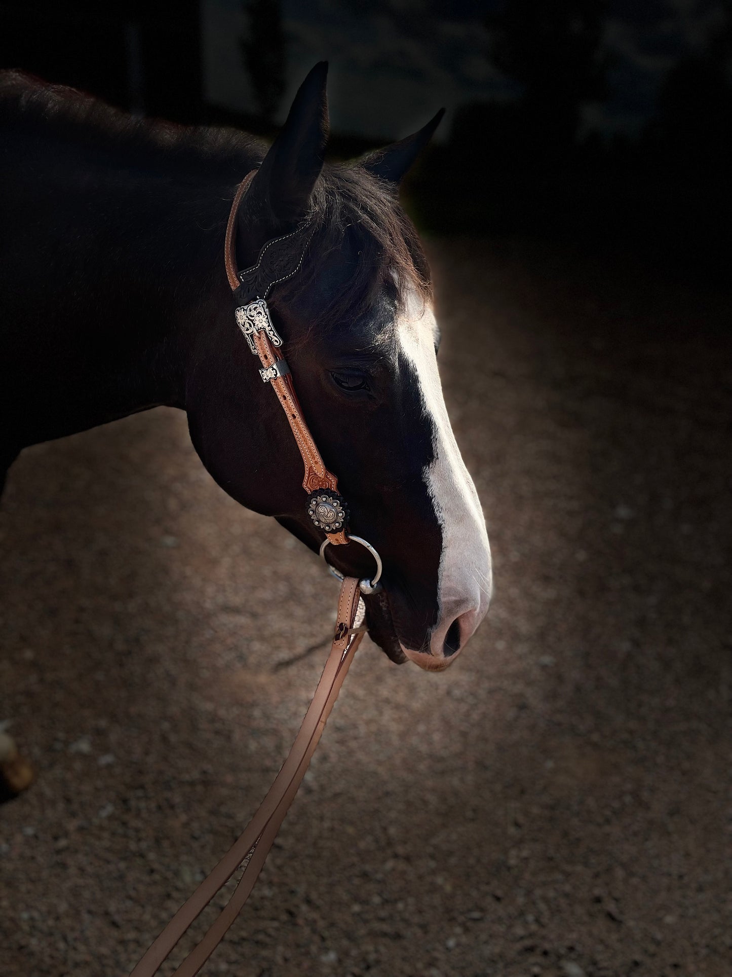 wildwestrebell westernträns  brand new start
