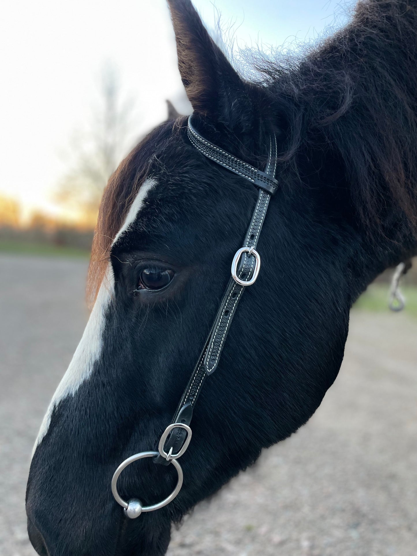 wildwestrebell westernträns med snabb fästen till bett träns training black piece
