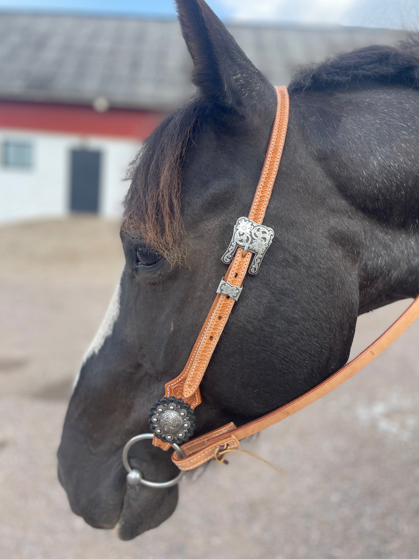 wildwestrebell westernträns  brand new start