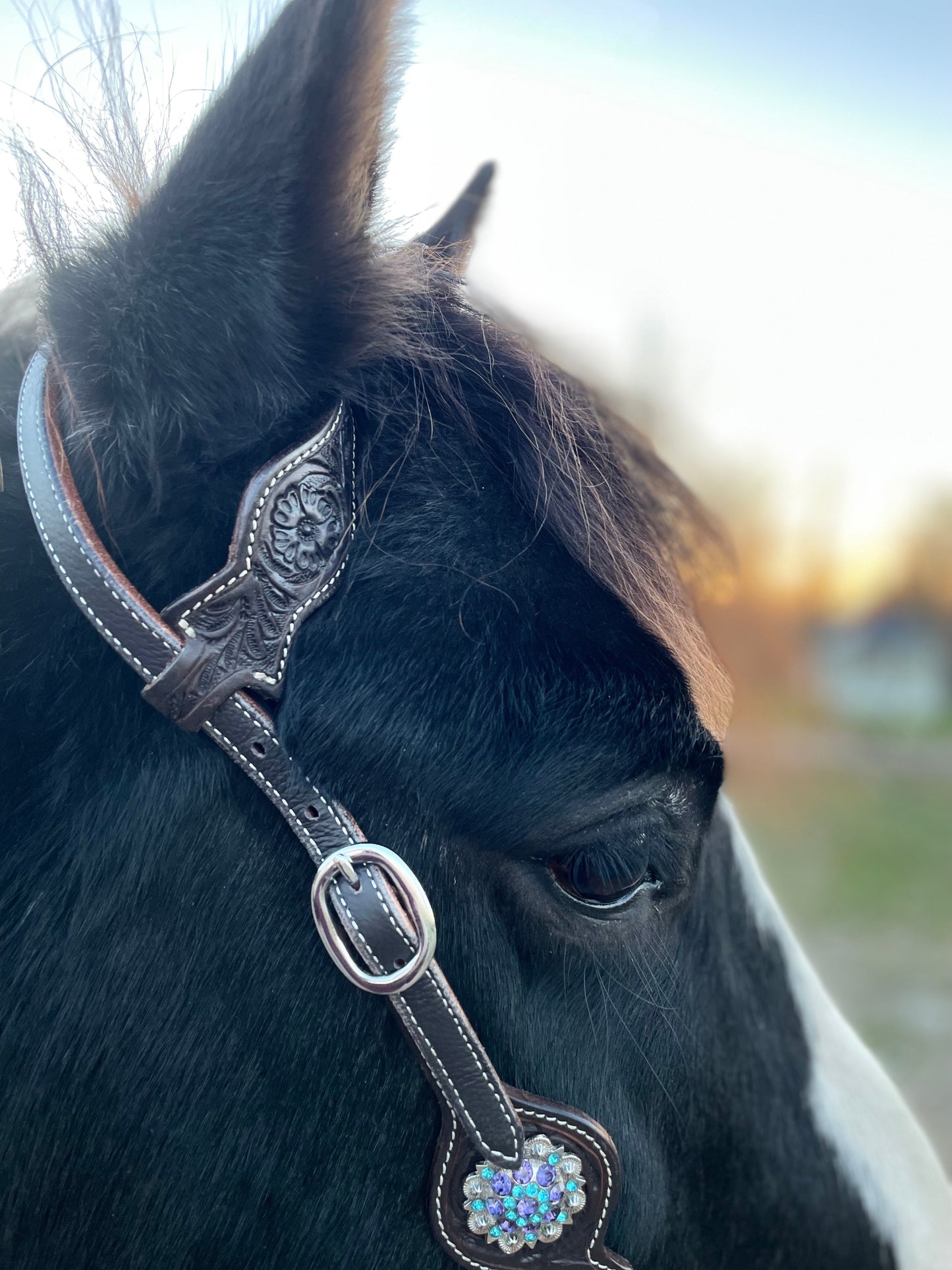 Wildwestrebell Westernträns med Enkelt Öra & Cheek lila /turkos