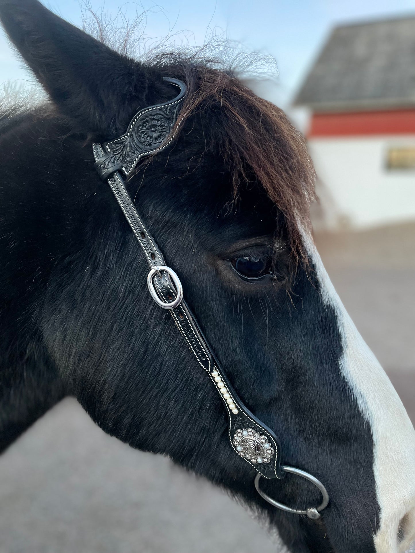 wildwestrebell svart westernträns   damn Black pearl