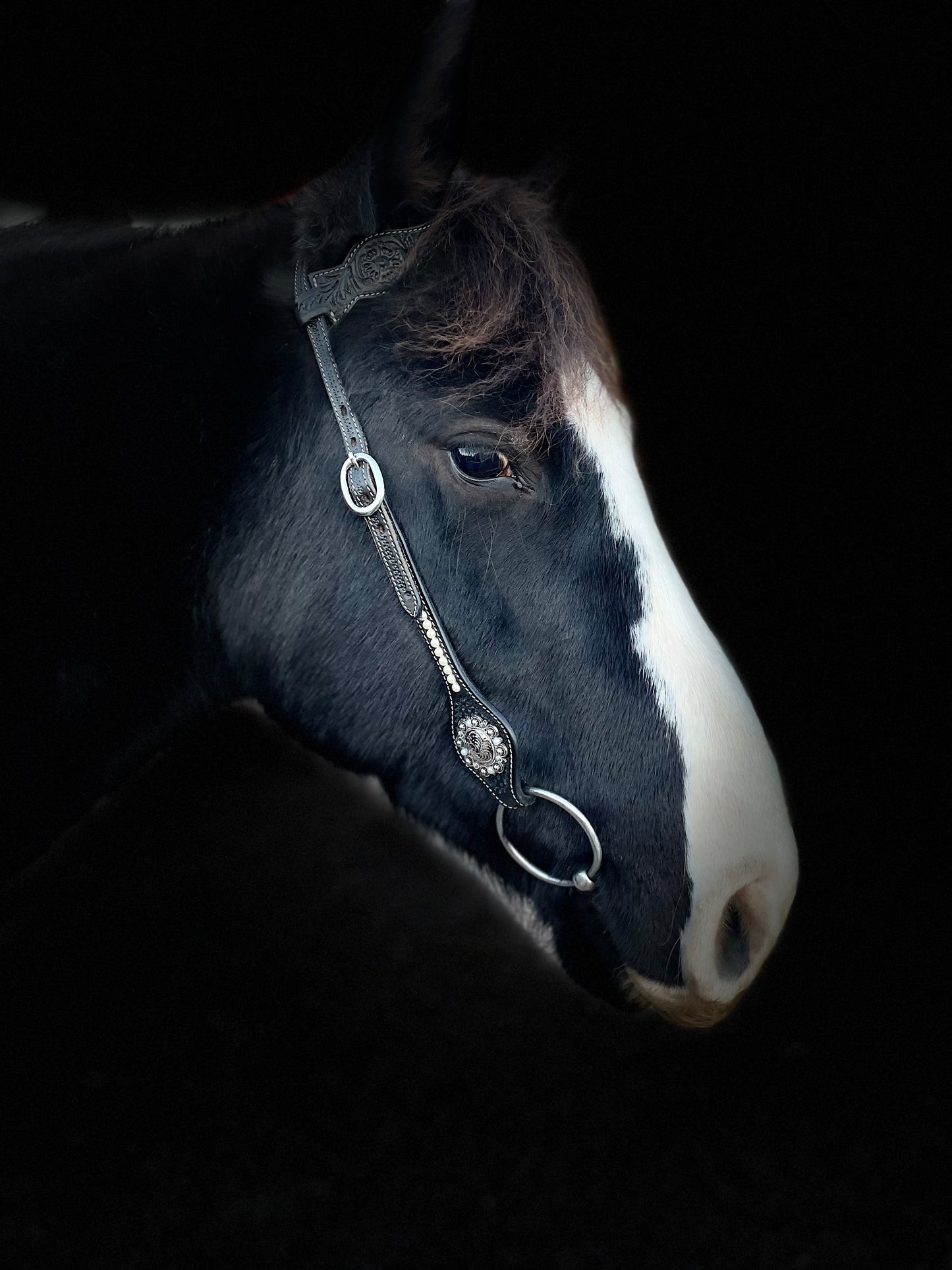 wildwestrebell svart westernträns   damn Black pearl