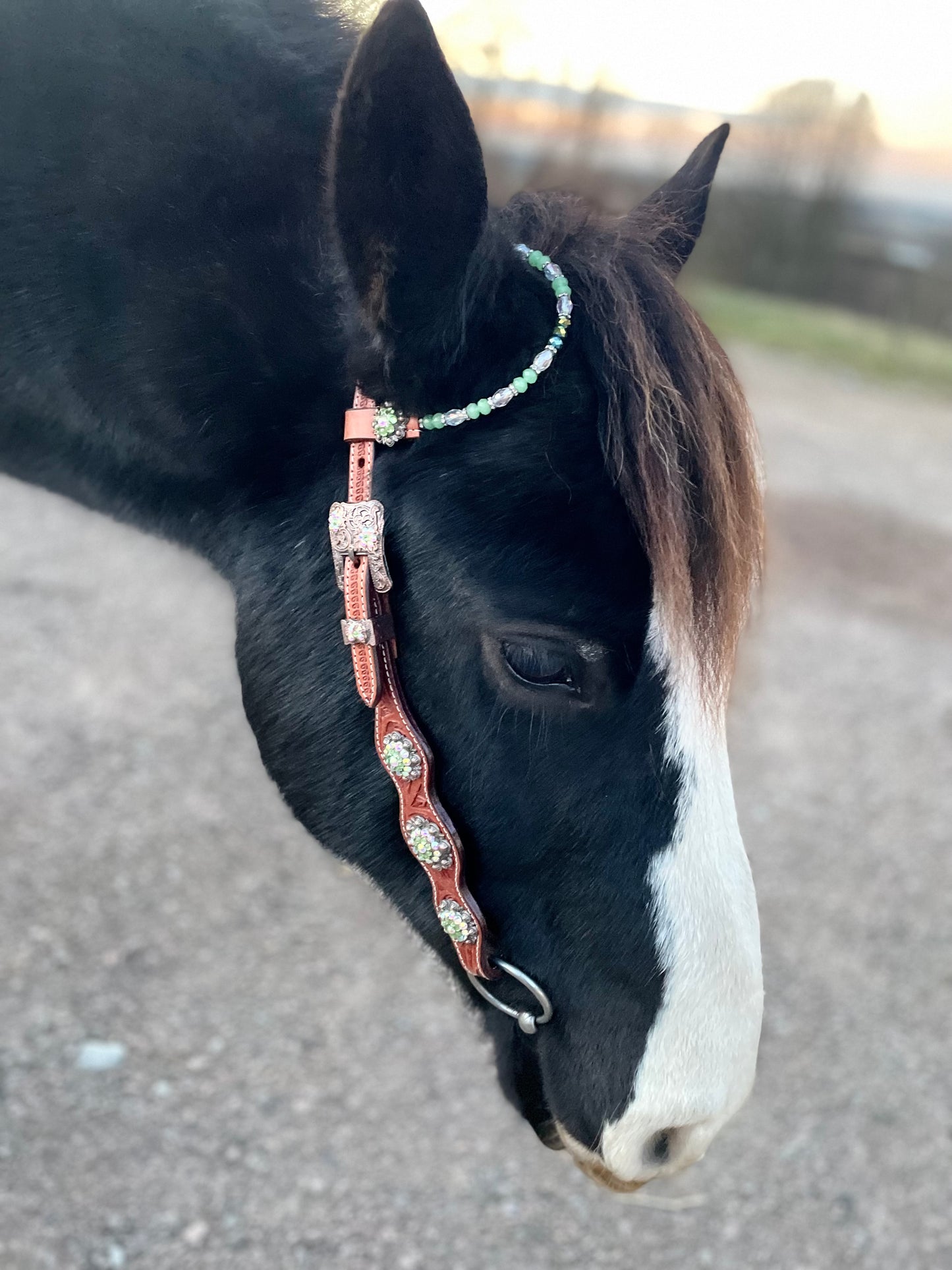 wildwestrebell Ett snyggt showträns med one ear dekorerat med pärlor, chonchos grönt