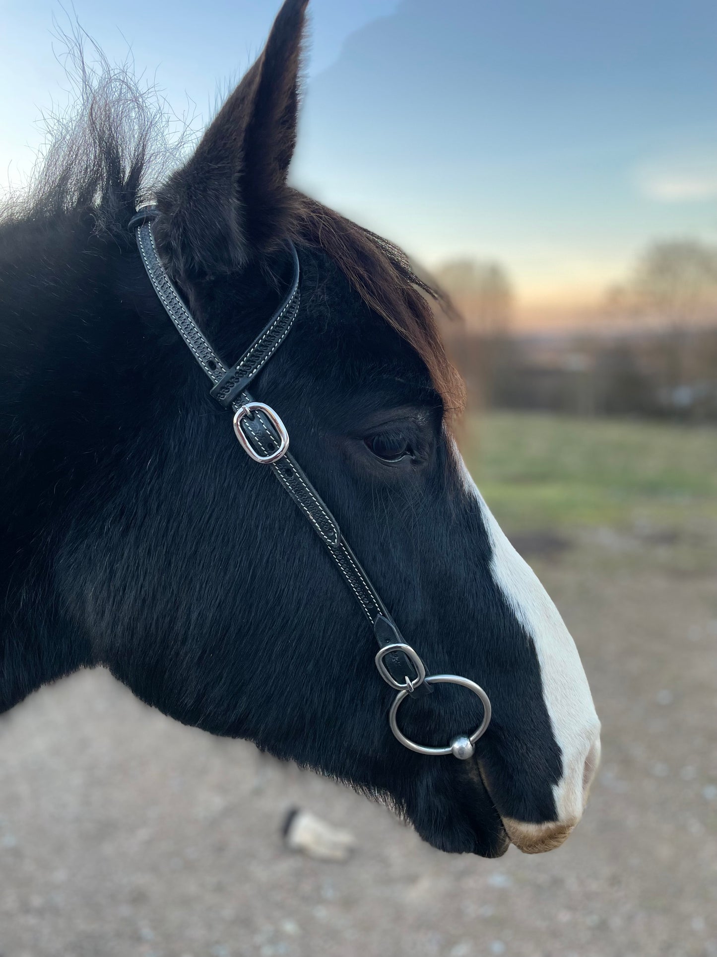 wildwestrebell westernträns med snabb fästen till bett träns training black piece