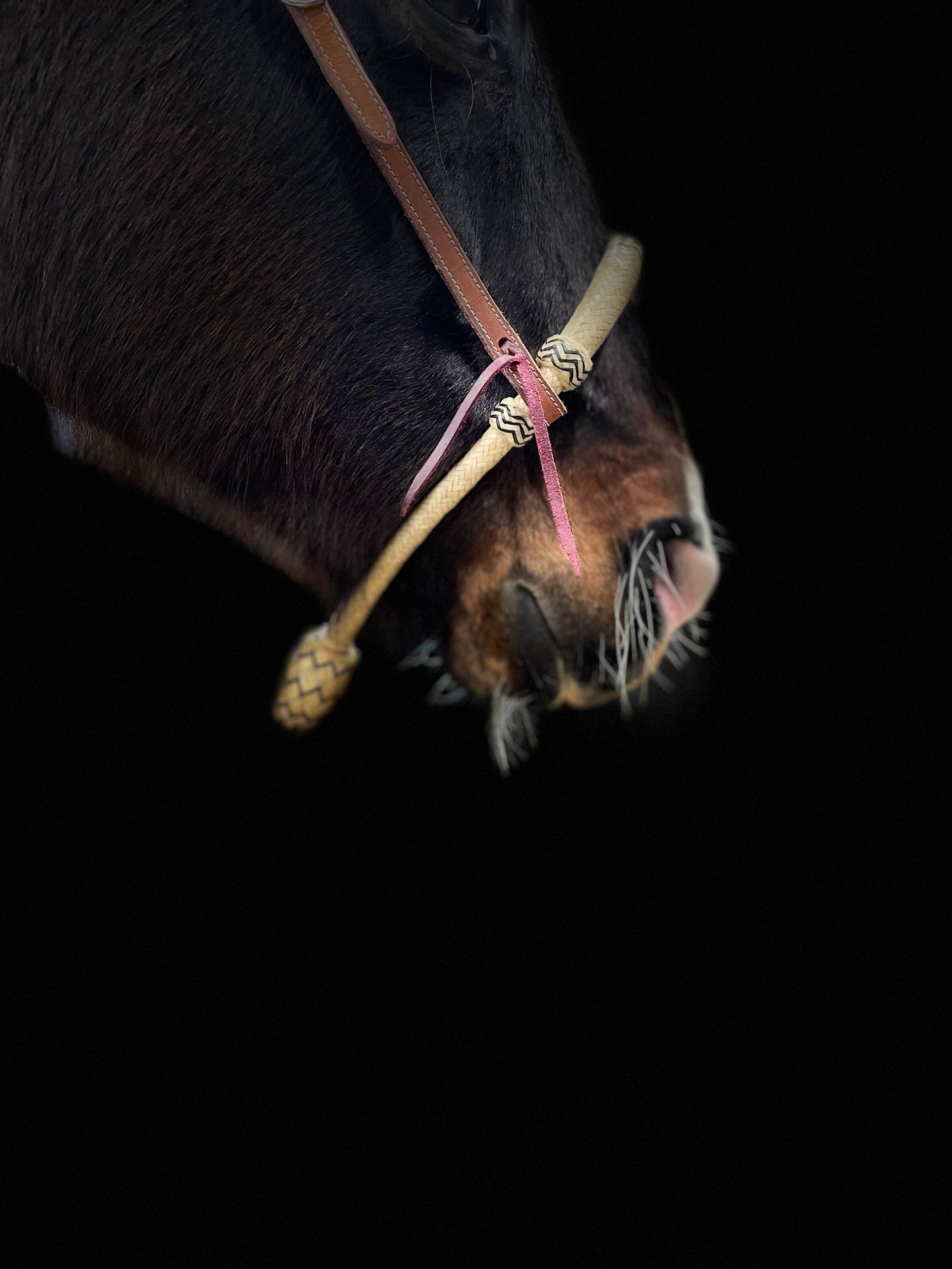 Bosal med mecate