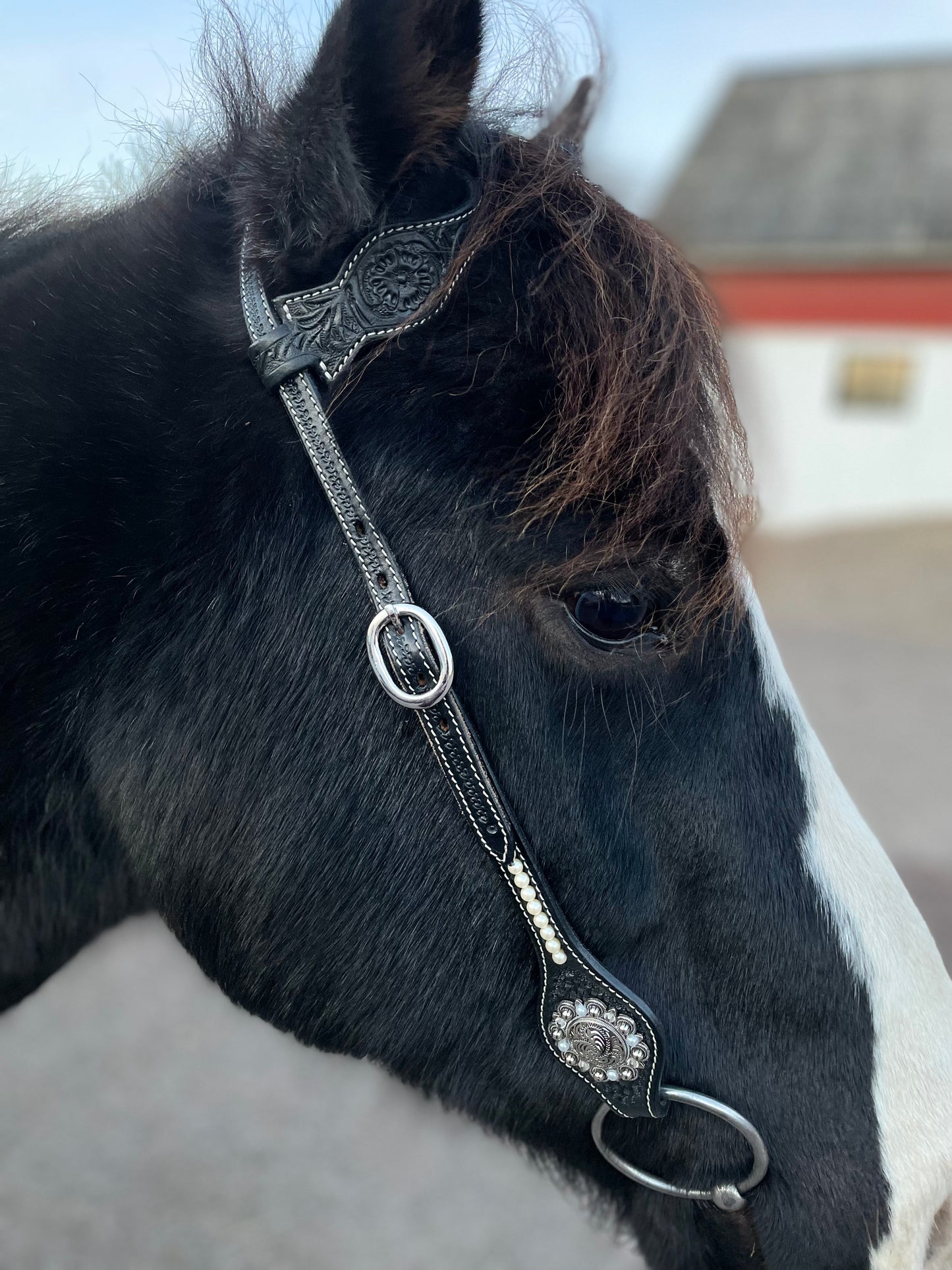 wildwestrebell svart westernträns   damn Black pearl