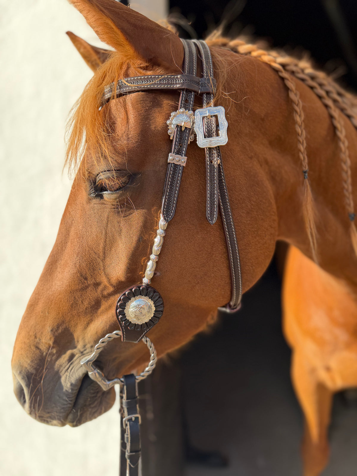 WWR träns western träns med silver detaljer