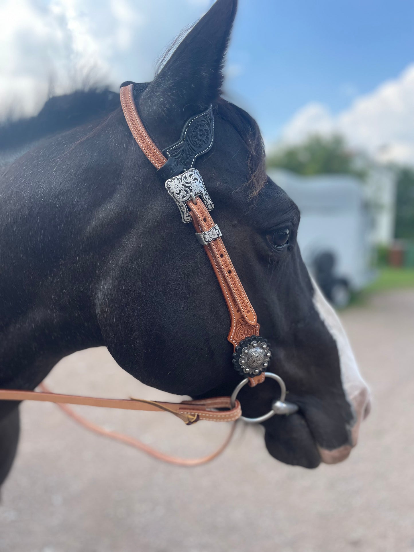 wildwestrebell westernträns  brand new start