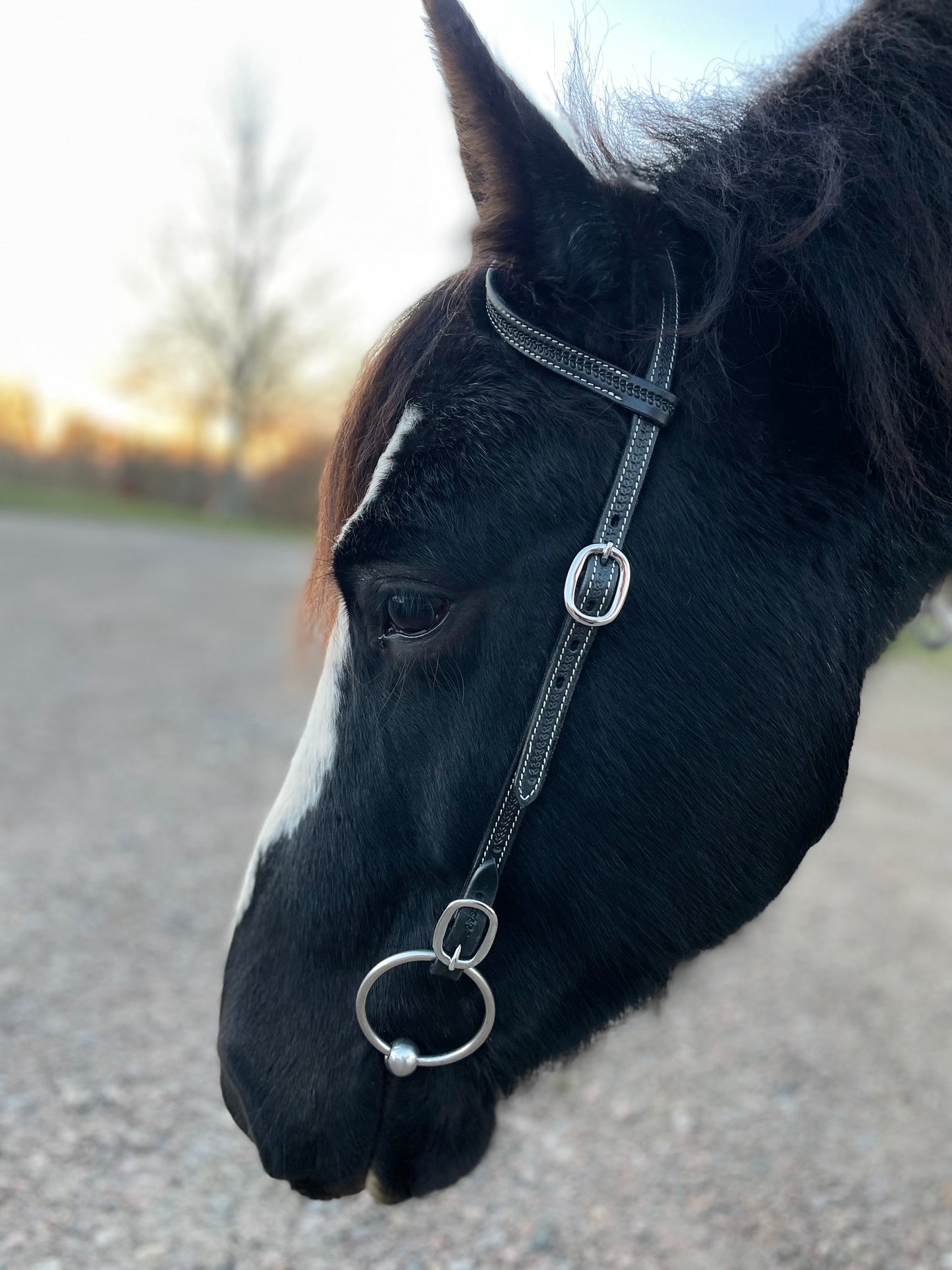 wildwestrebell westernträns med snabb fästen till bett träns training black piece