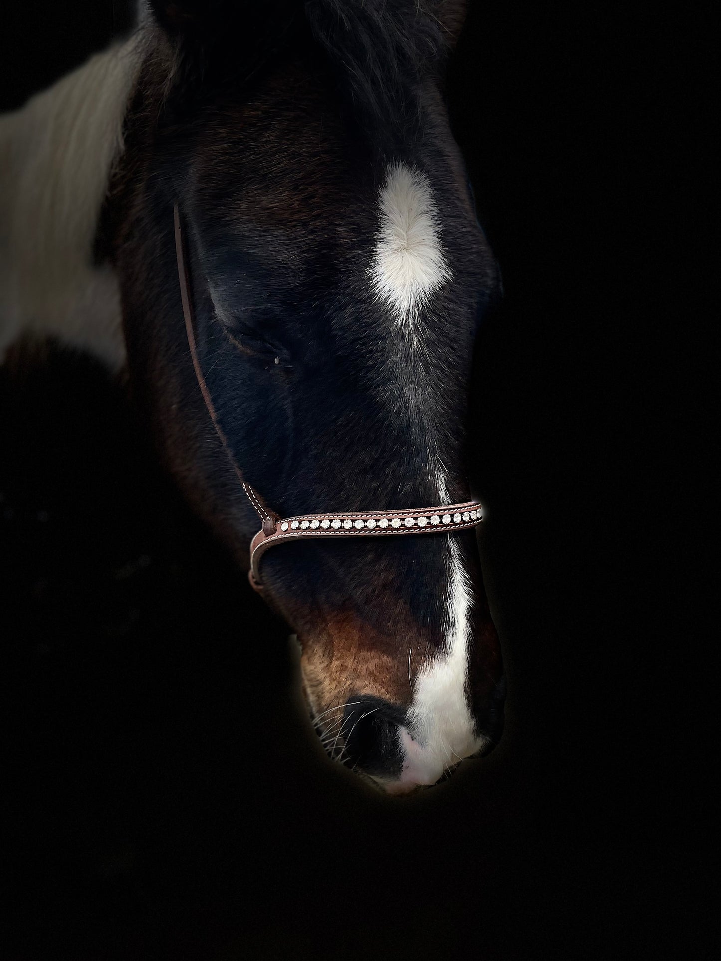 wildwestrebell Moutshutter Nosgrimma med vita strasstenar mörkbrun