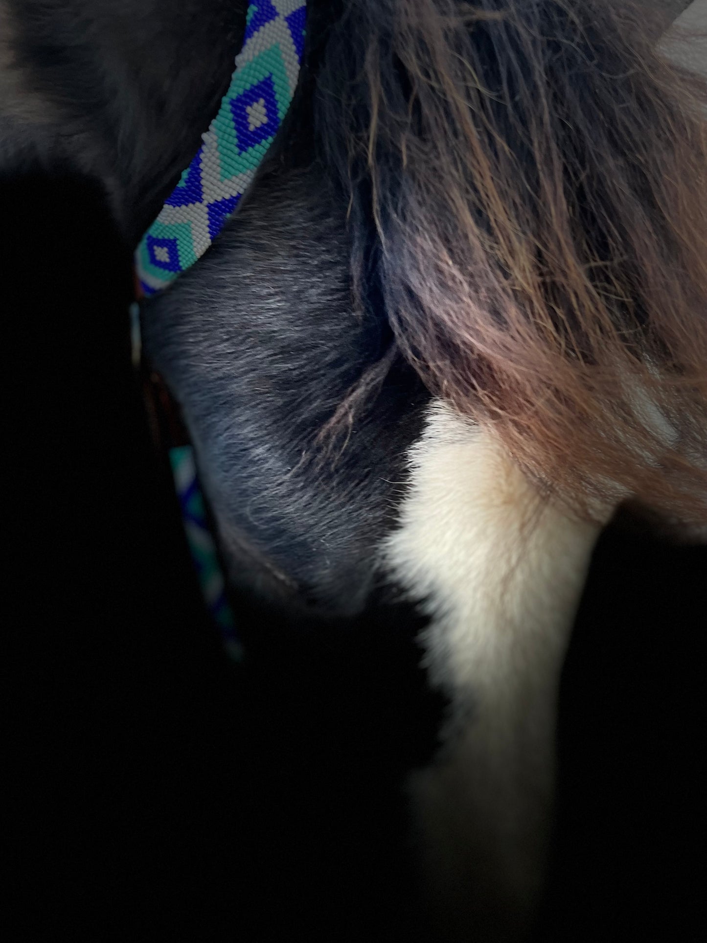 wildwestrebell Westernträns med Pärlor – One Ear Headstall i Dark Chestnut & Blå Toner