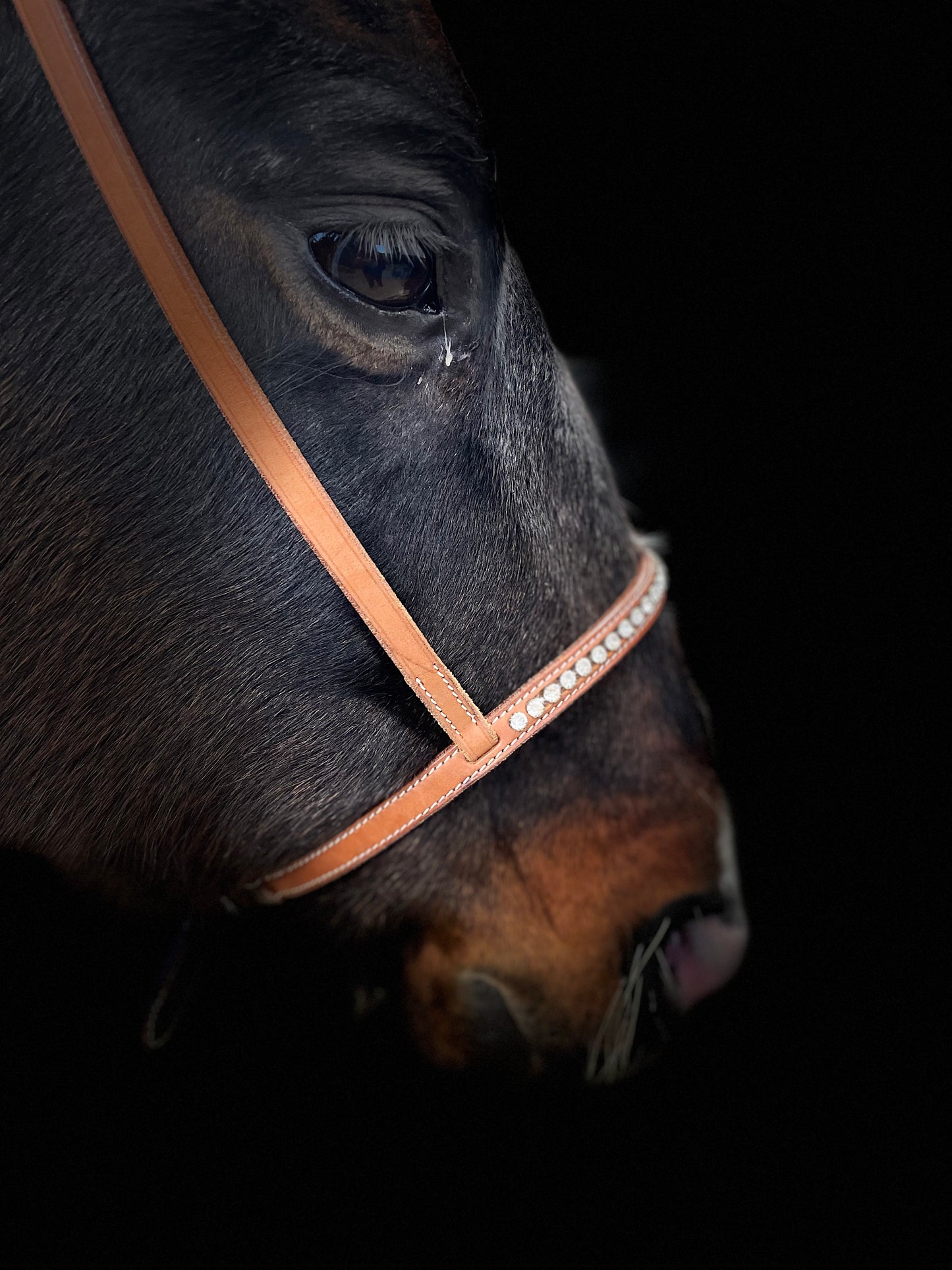 wildwestrebell Moutshutter Nosgrimma med vita strasstenar chestnut ljus