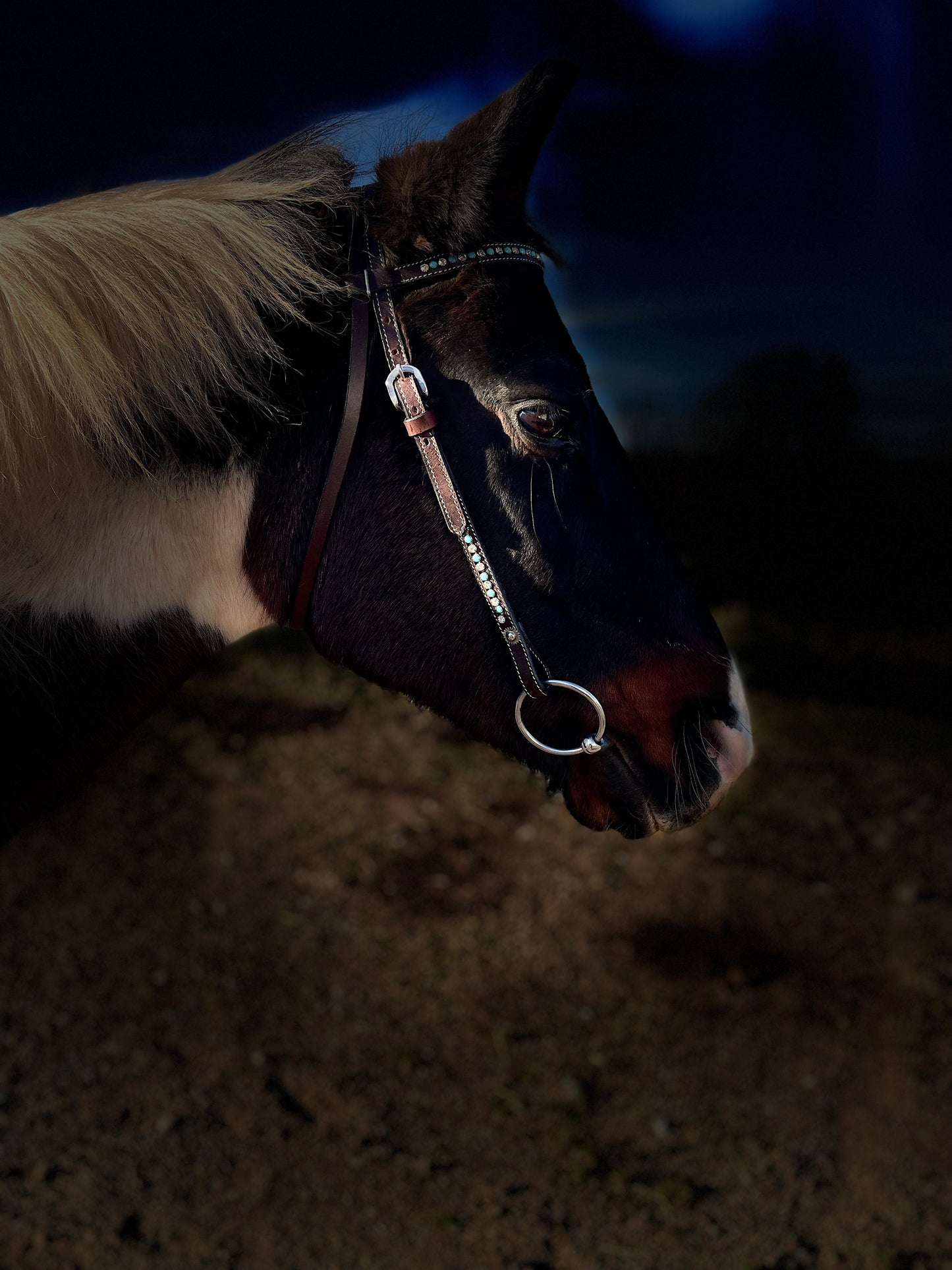 wildwestrebell Westernträns med Pannband – Turkosa Stenar & Vita Strass för Show & VardagEtt