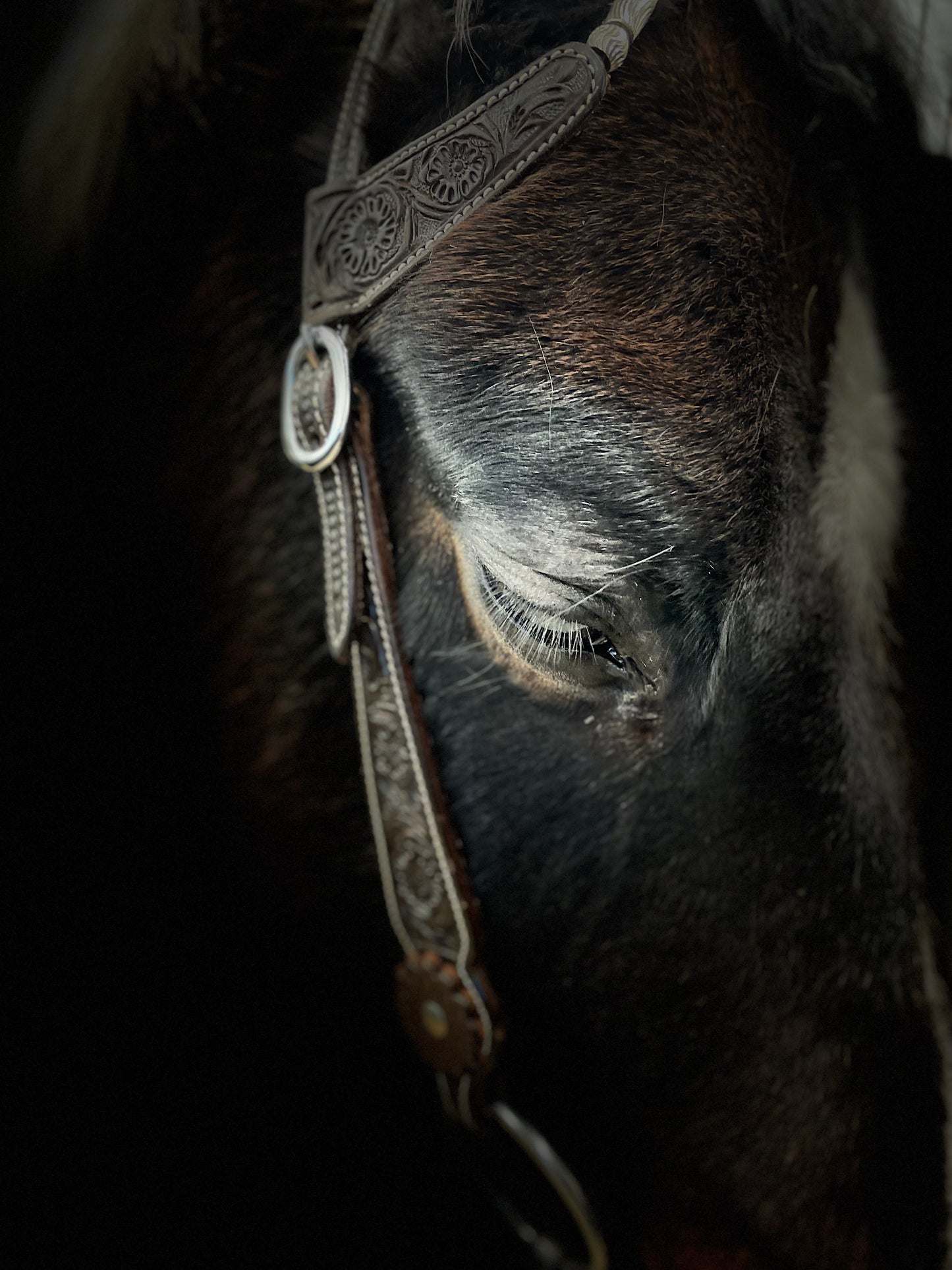 Wildwestrebell Westernträns med två one ears silver mörkbrun